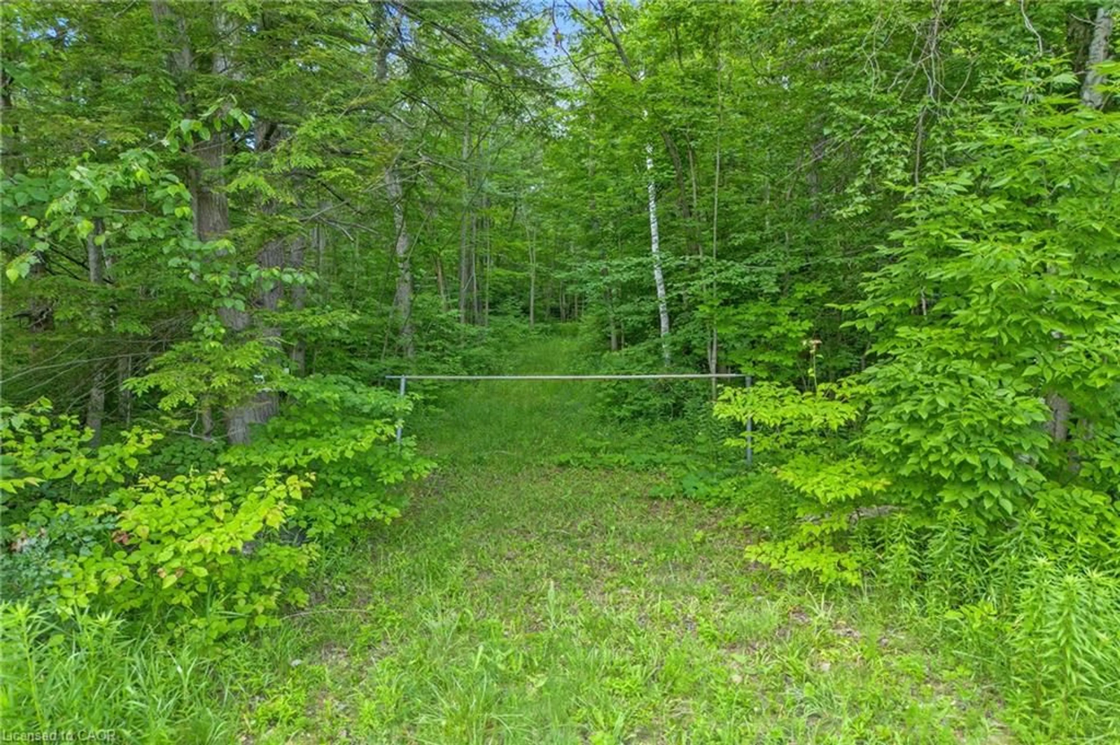 Unknown for -- Fourth Line Nassagaweya, Milton Ontario N0B 2K0
