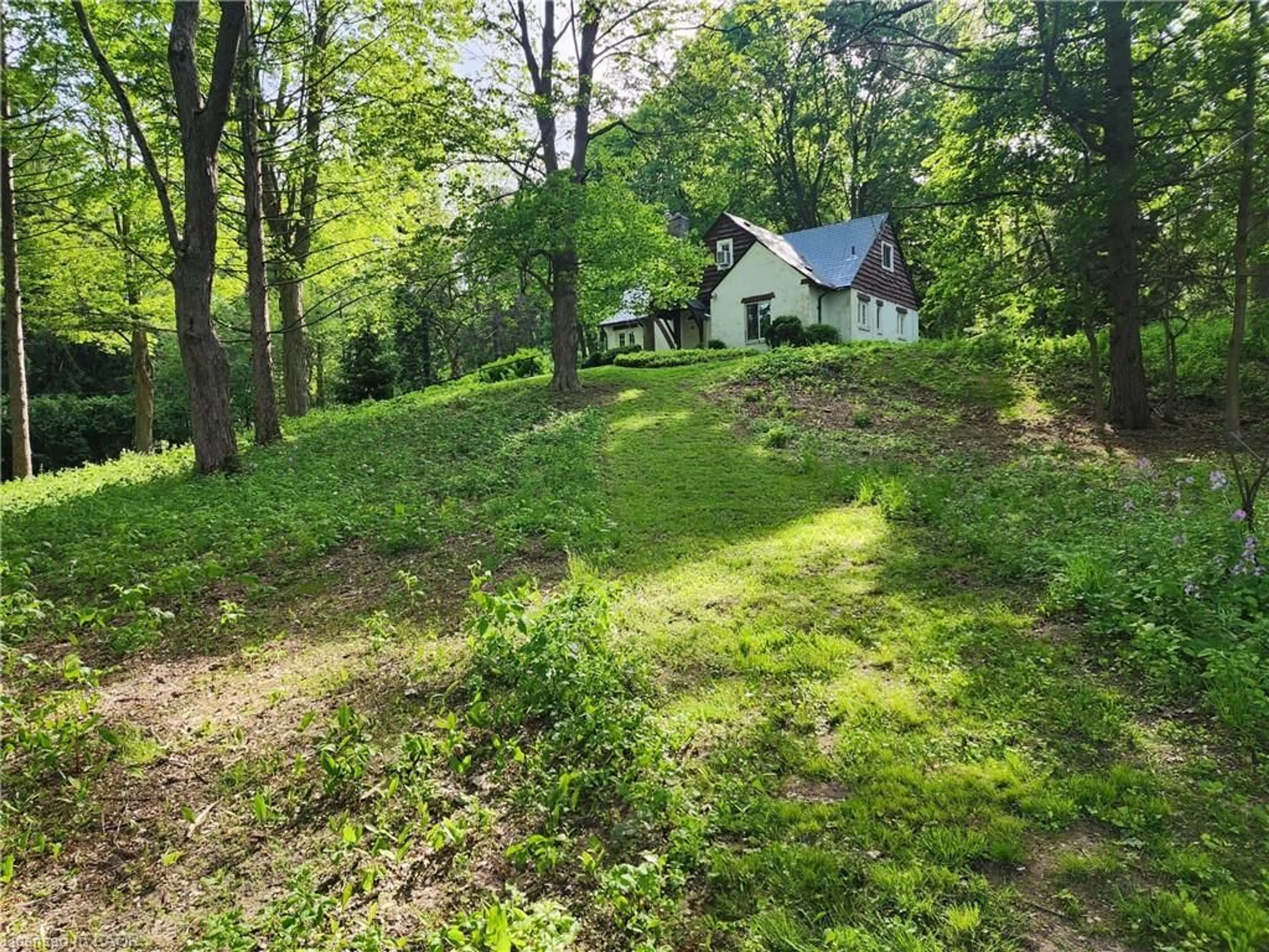 A pic from outside/outdoor area/front of a property/back of a property/a pic from drone, forest/trees view for 311 Golf Links Rd, Hamilton Ontario L9G 2N6