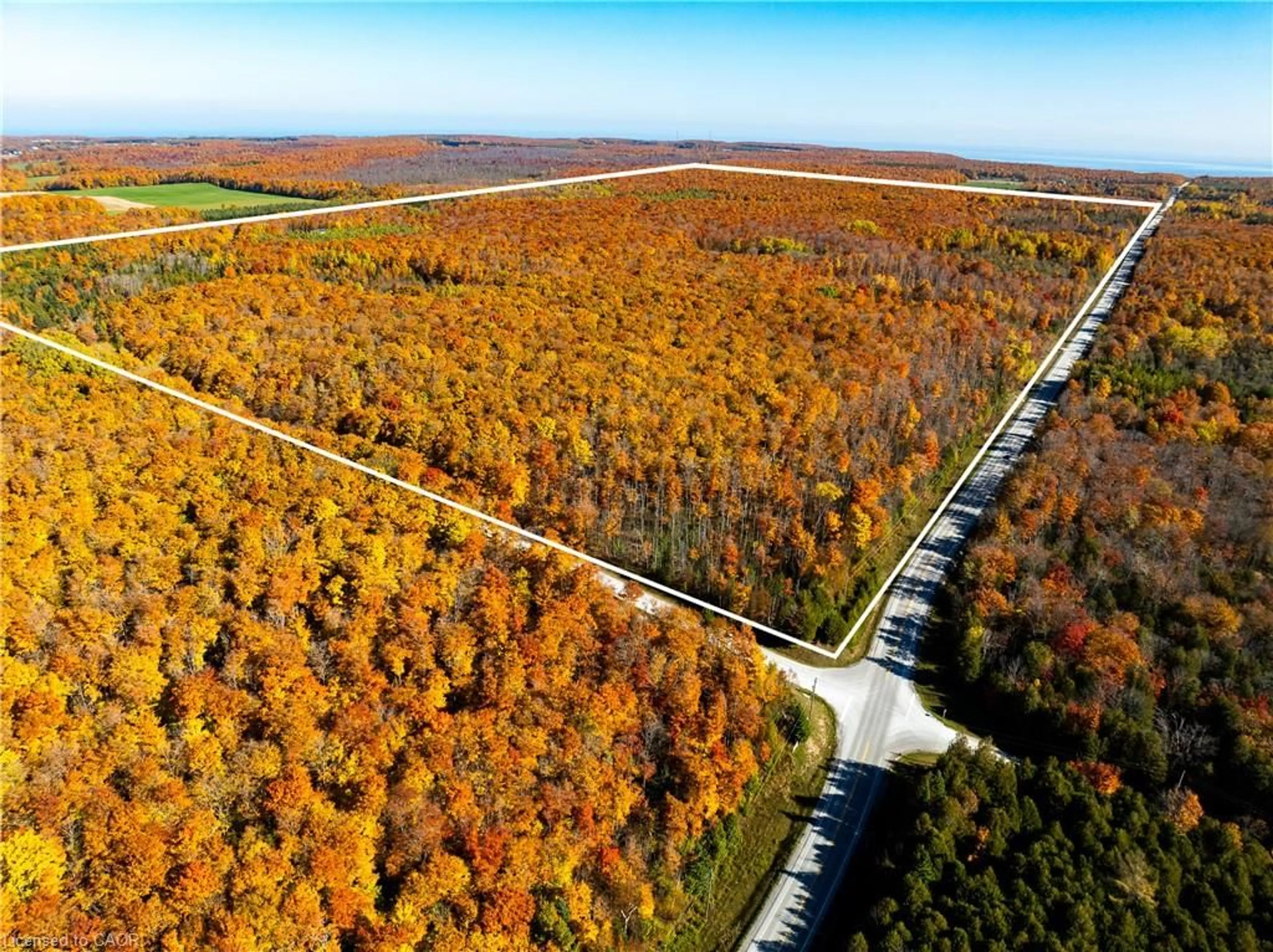 A pic from outside/outdoor area/front of a property/back of a property/a pic from drone, forest/trees view for 589141 Grey Rd 19 Rd, The Blue Mountains Ontario N0H 2E0