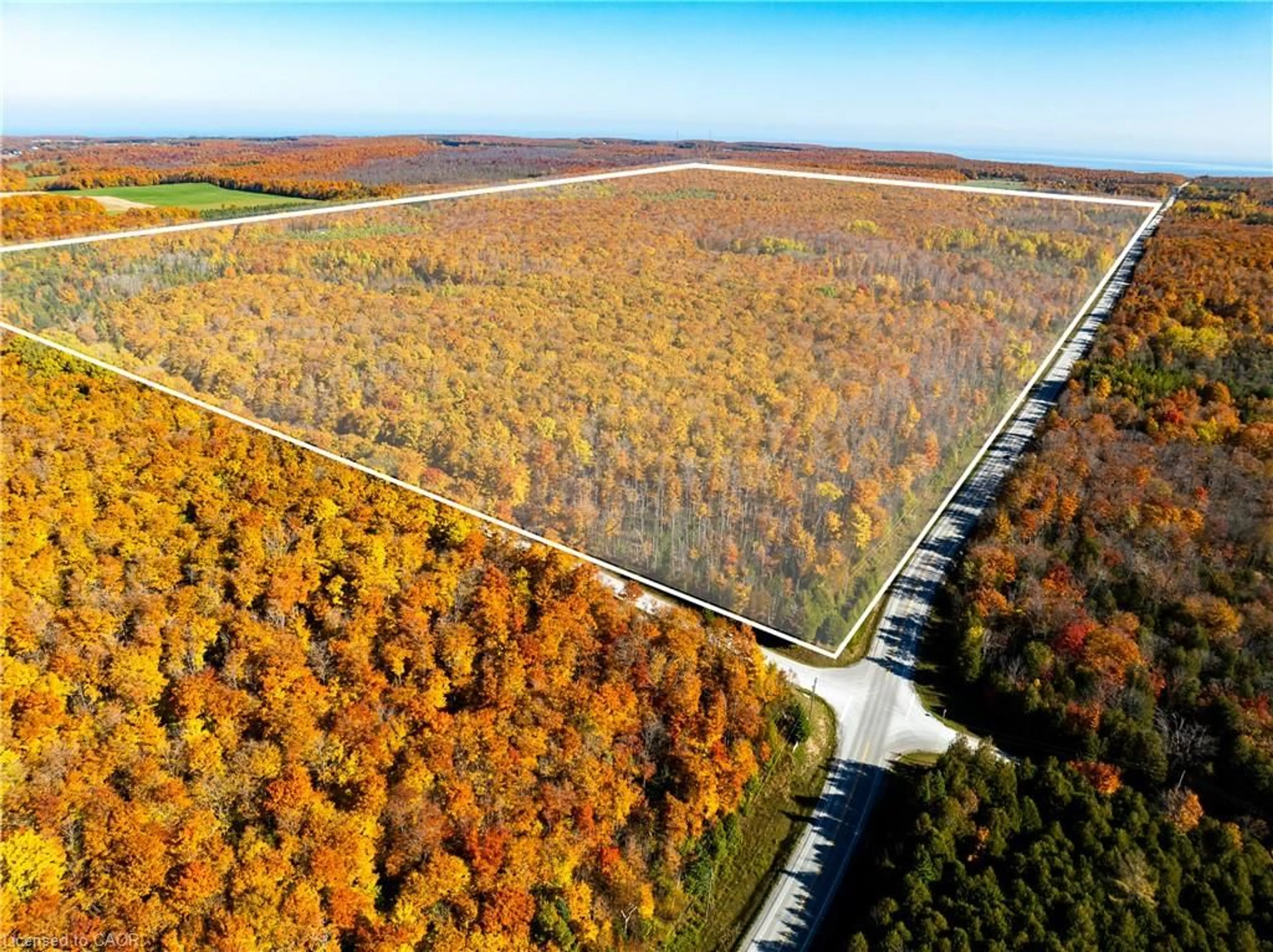 A pic from outside/outdoor area/front of a property/back of a property/a pic from drone, forest/trees view for 589141 Grey Rd 19 Rd, The Blue Mountains Ontario N0H 2E0