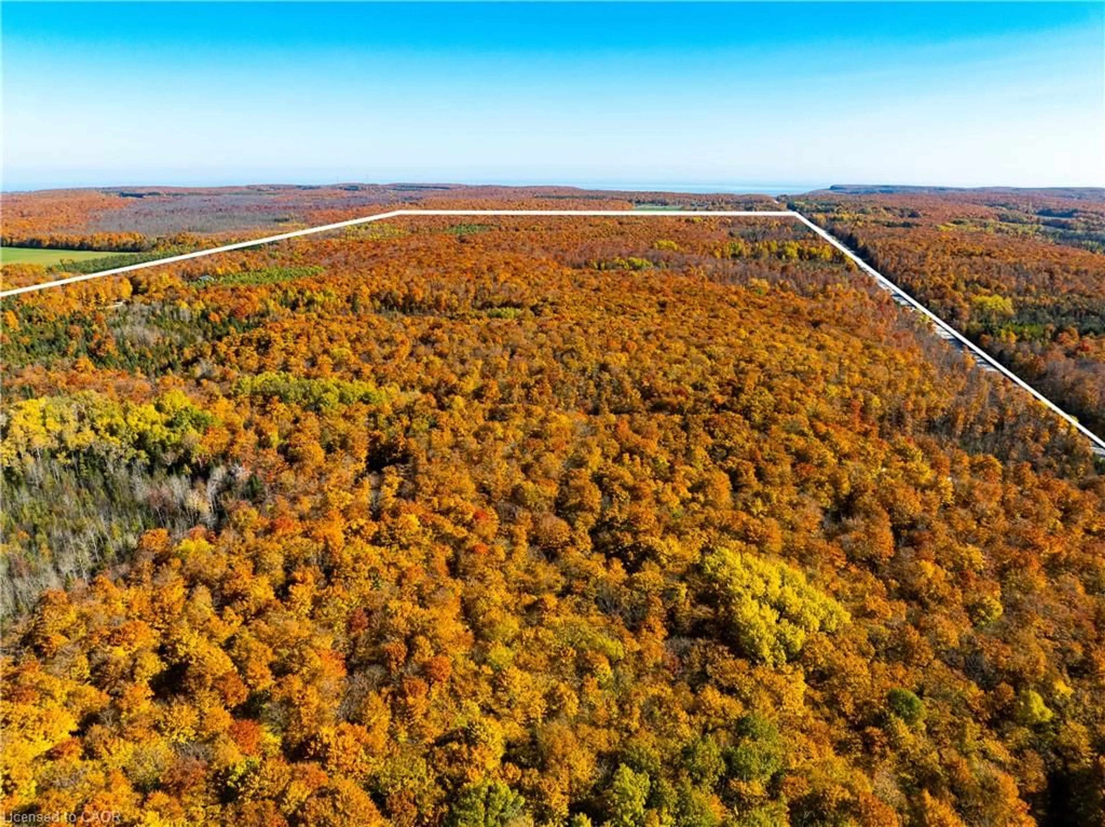 A pic from outside/outdoor area/front of a property/back of a property/a pic from drone, forest/trees view for 589141 Grey Rd 19 Rd, The Blue Mountains Ontario N0H 2E0
