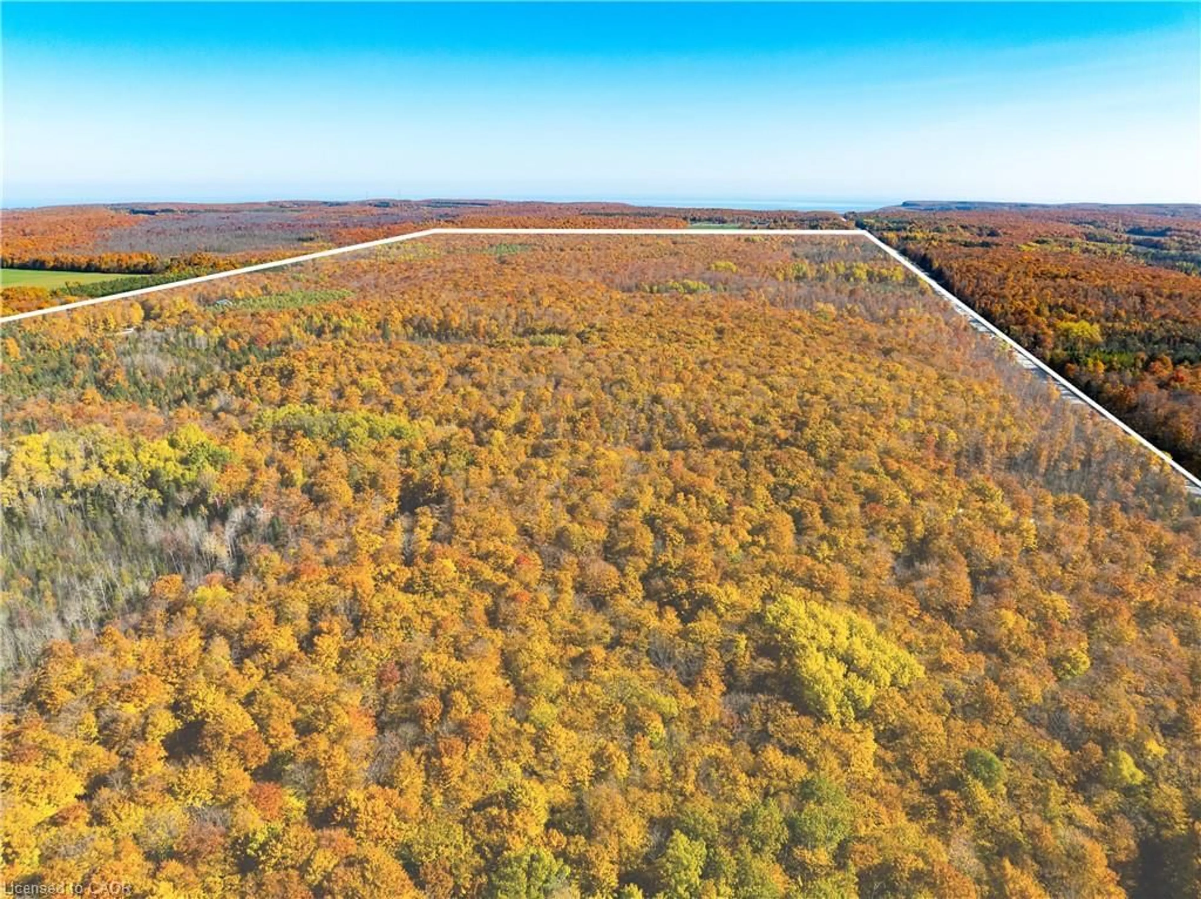 A pic from outside/outdoor area/front of a property/back of a property/a pic from drone, forest/trees view for 589141 Grey Rd 19 Rd, The Blue Mountains Ontario N0H 2E0