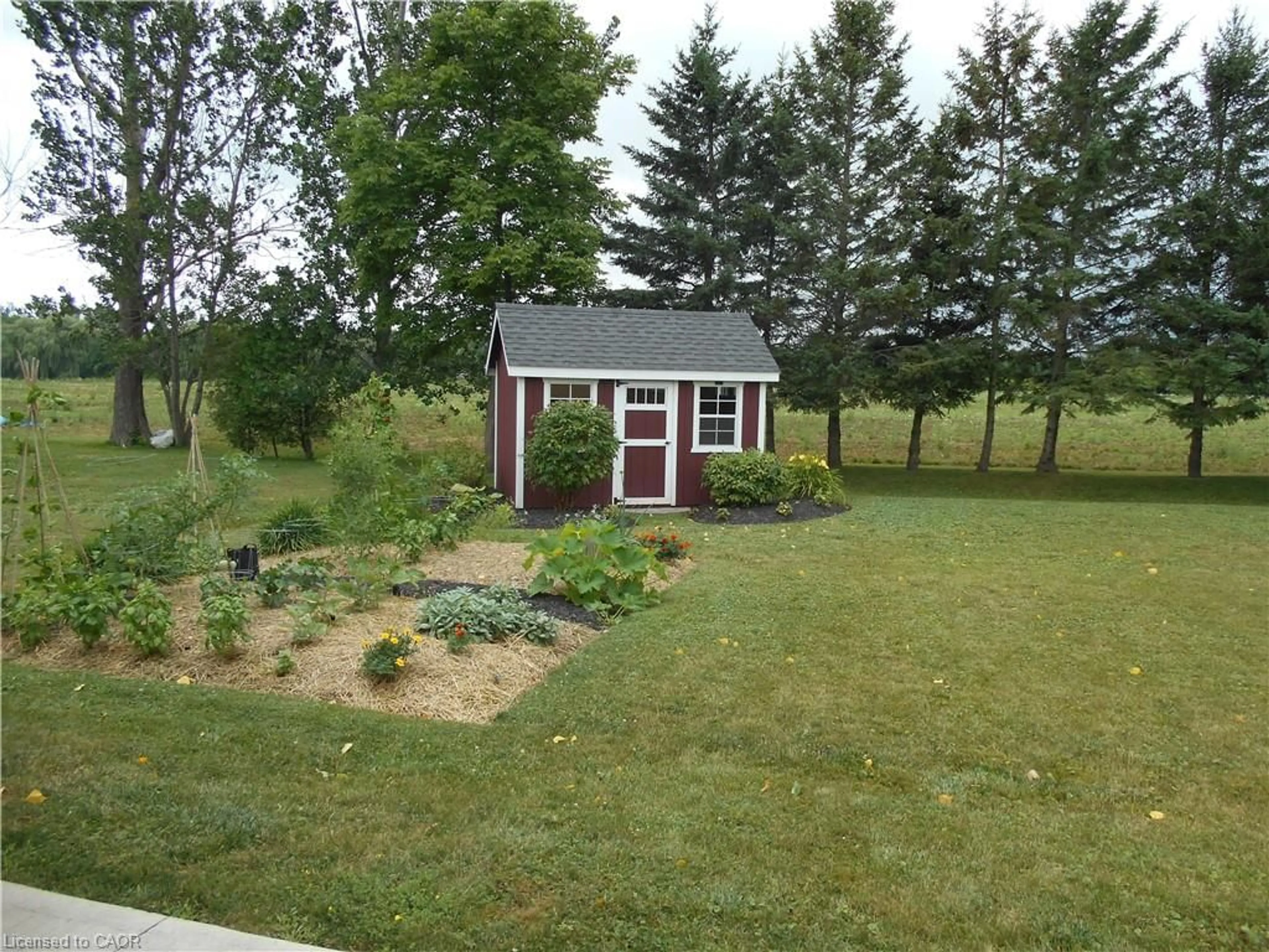 Shed for 31 College Ave, Port Rowan Ontario N0E 1M0