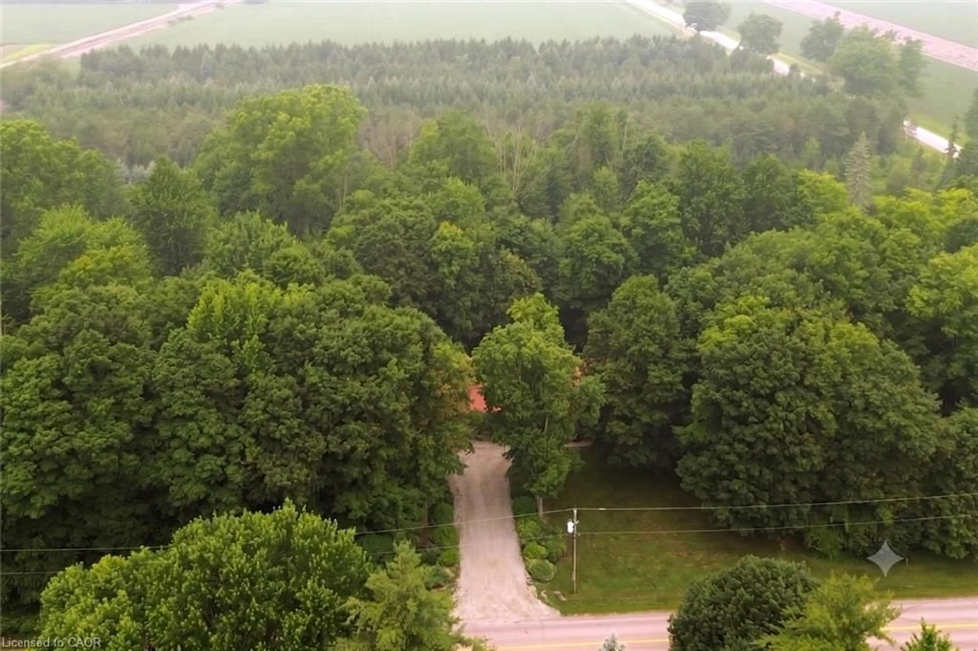 A pic from outside/outdoor area/front of a property/back of a property/a pic from drone, forest/trees view for Rd, Carlisle Ontario L0P 1B0