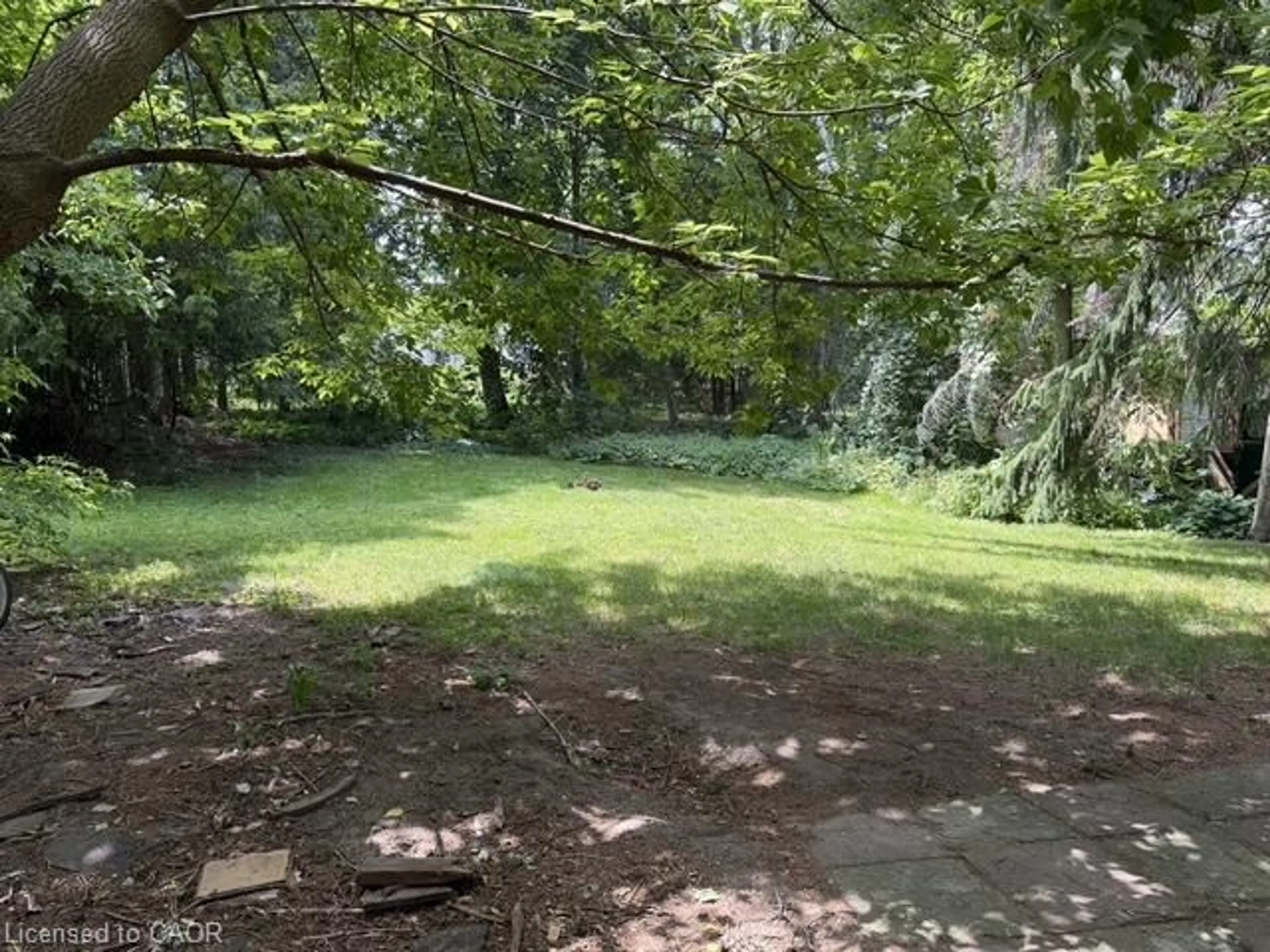 A pic from outside/outdoor area/front of a property/back of a property/a pic from drone, forest/trees view for 391 Lawrence Ave, Kitchener Ontario N2M 1Y7