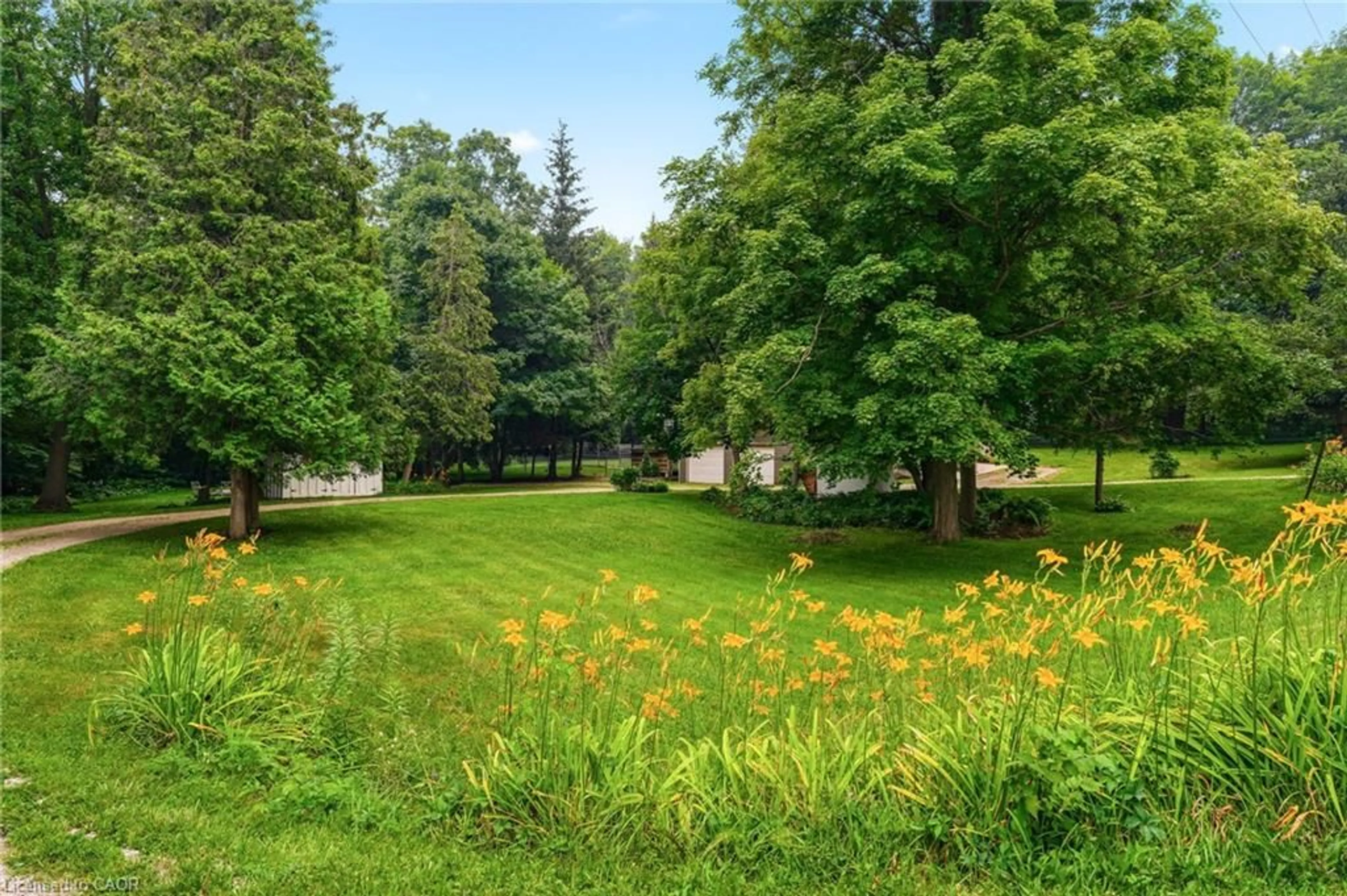 Patio, forest/trees view for 318 10th Concession Rd, Freelton Ontario L8B 1H6