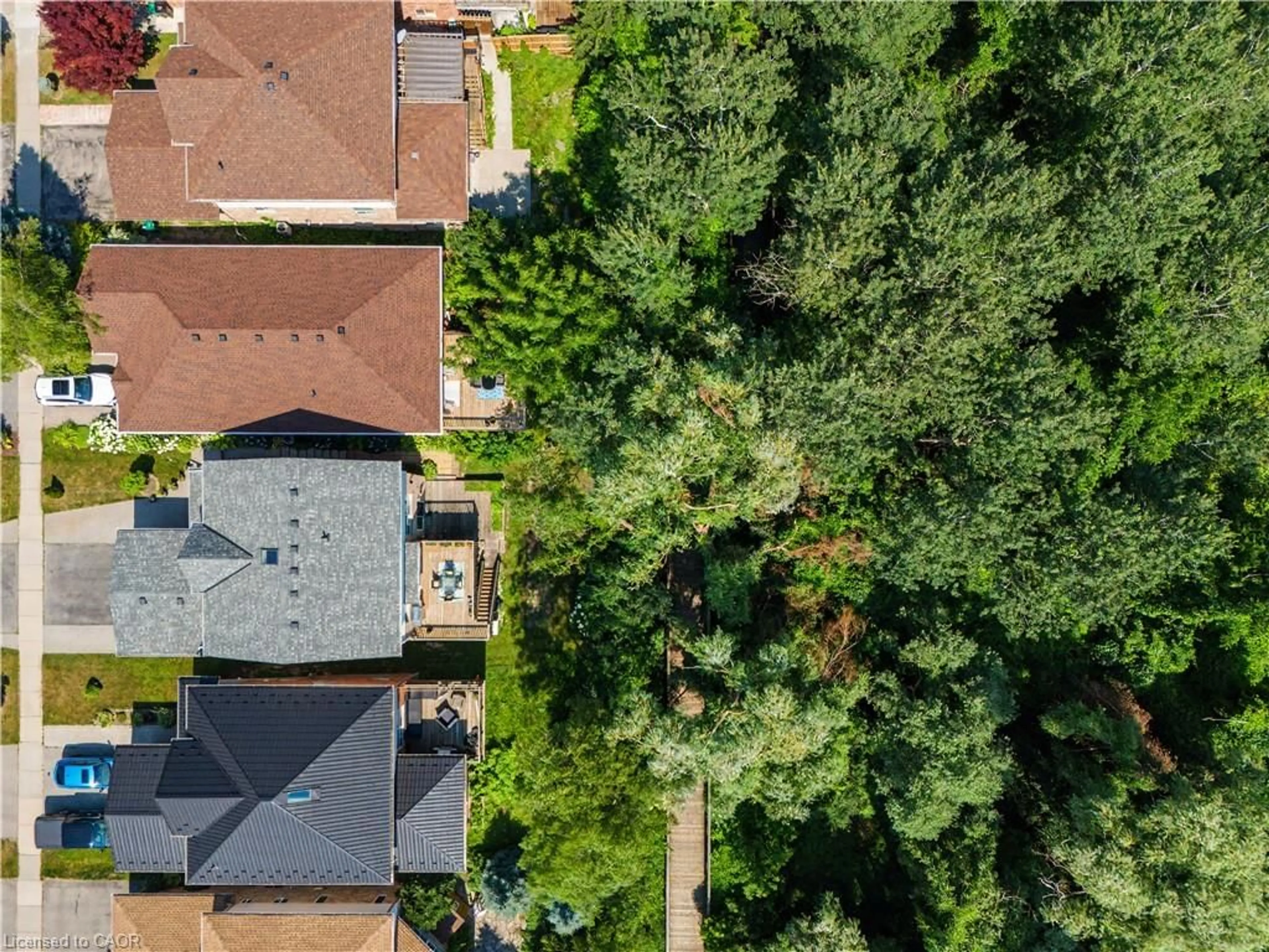 A pic from outside/outdoor area/front of a property/back of a property/a pic from drone, forest/trees view for 63 Brisbane Dr, Kitchener Ontario N2C 2T6