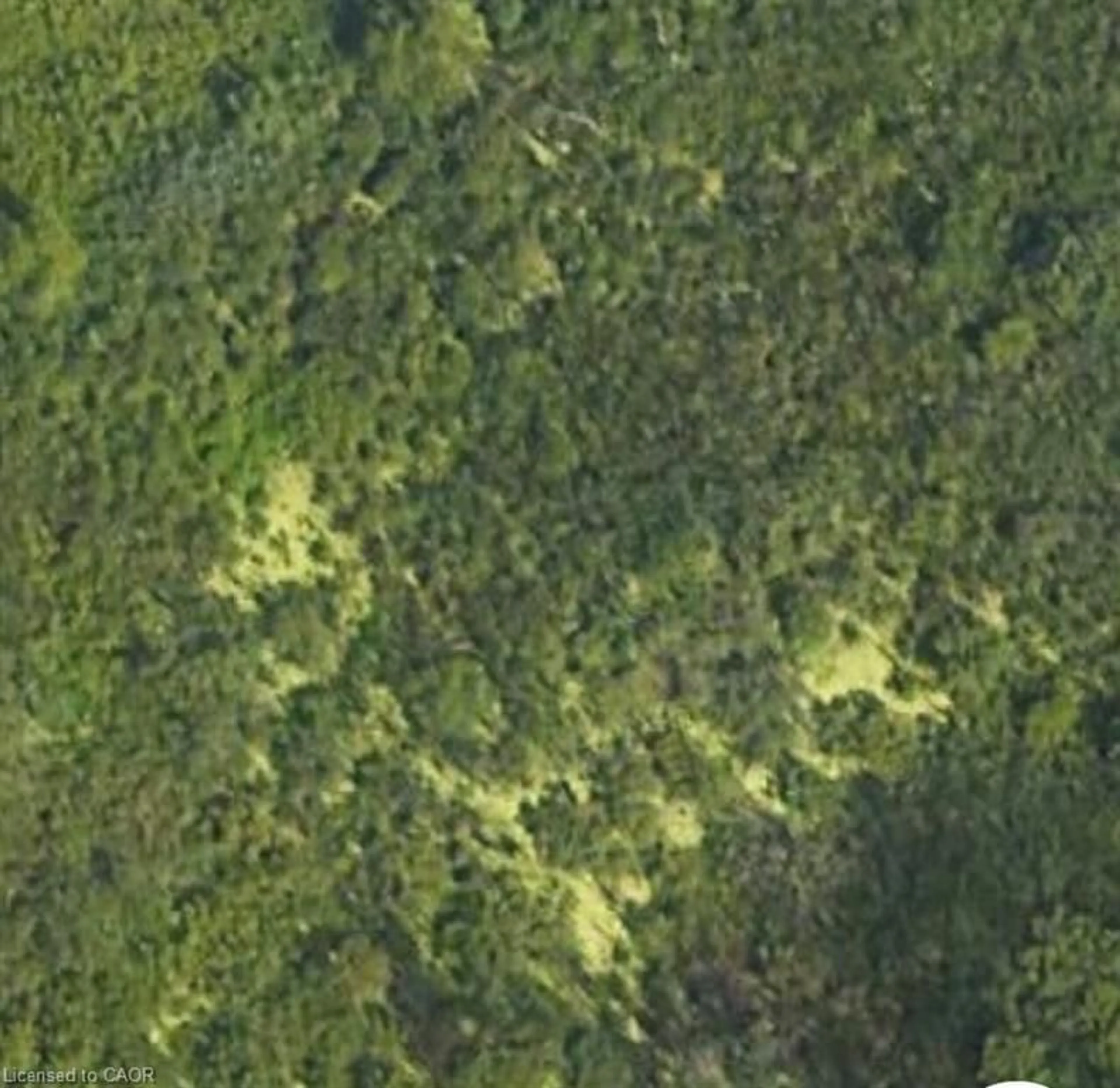 A pic from outside/outdoor area/front of a property/back of a property/a pic from drone, forest/trees view for N/A Regional Rd 46 Rd, North Dumfries Ontario N1R 5S3