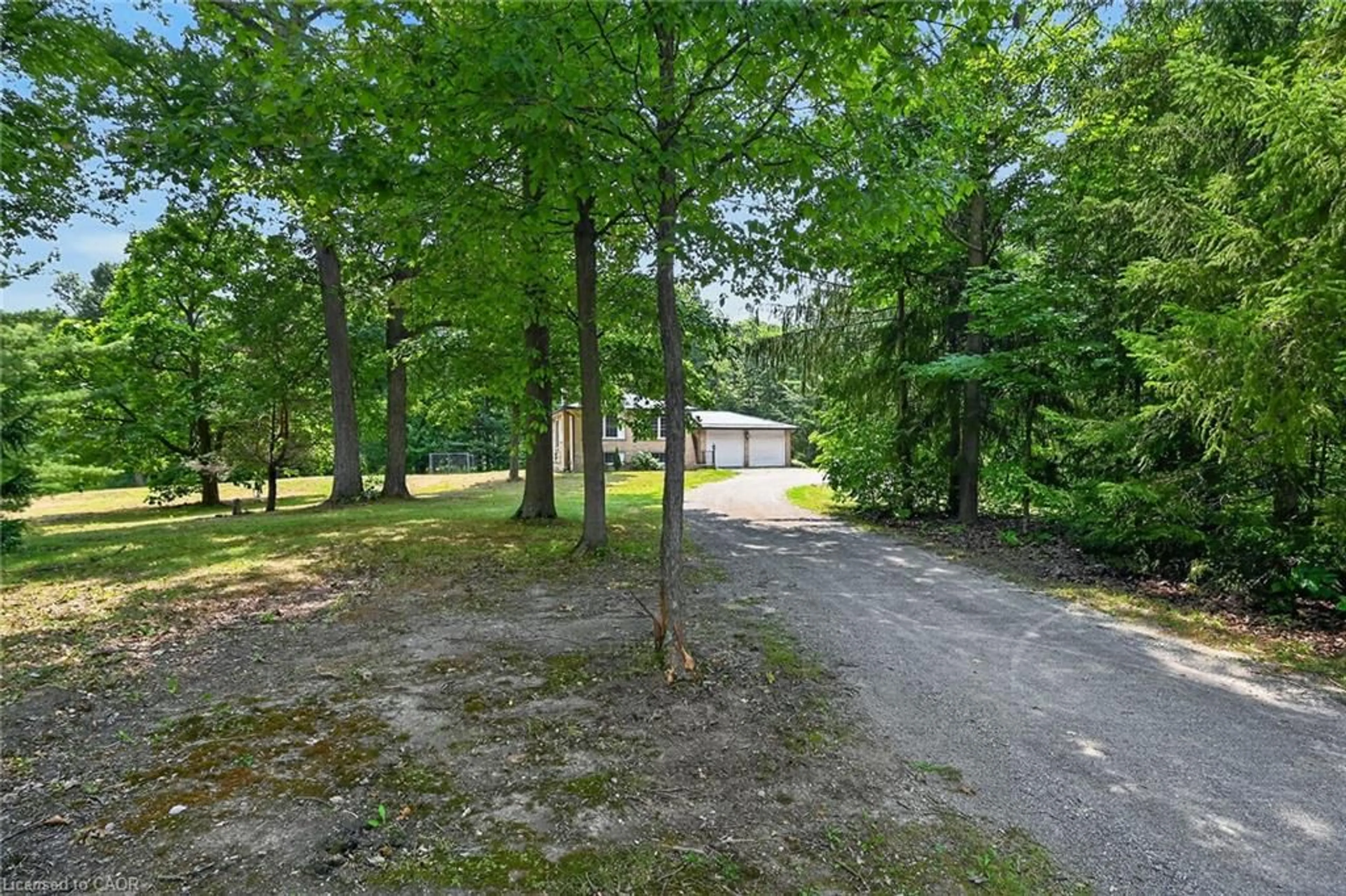 A pic from outside/outdoor area/front of a property/back of a property/a pic from drone, forest/trees view for 118 Concession 1 Rd, Canfield Ontario N0A 1C0