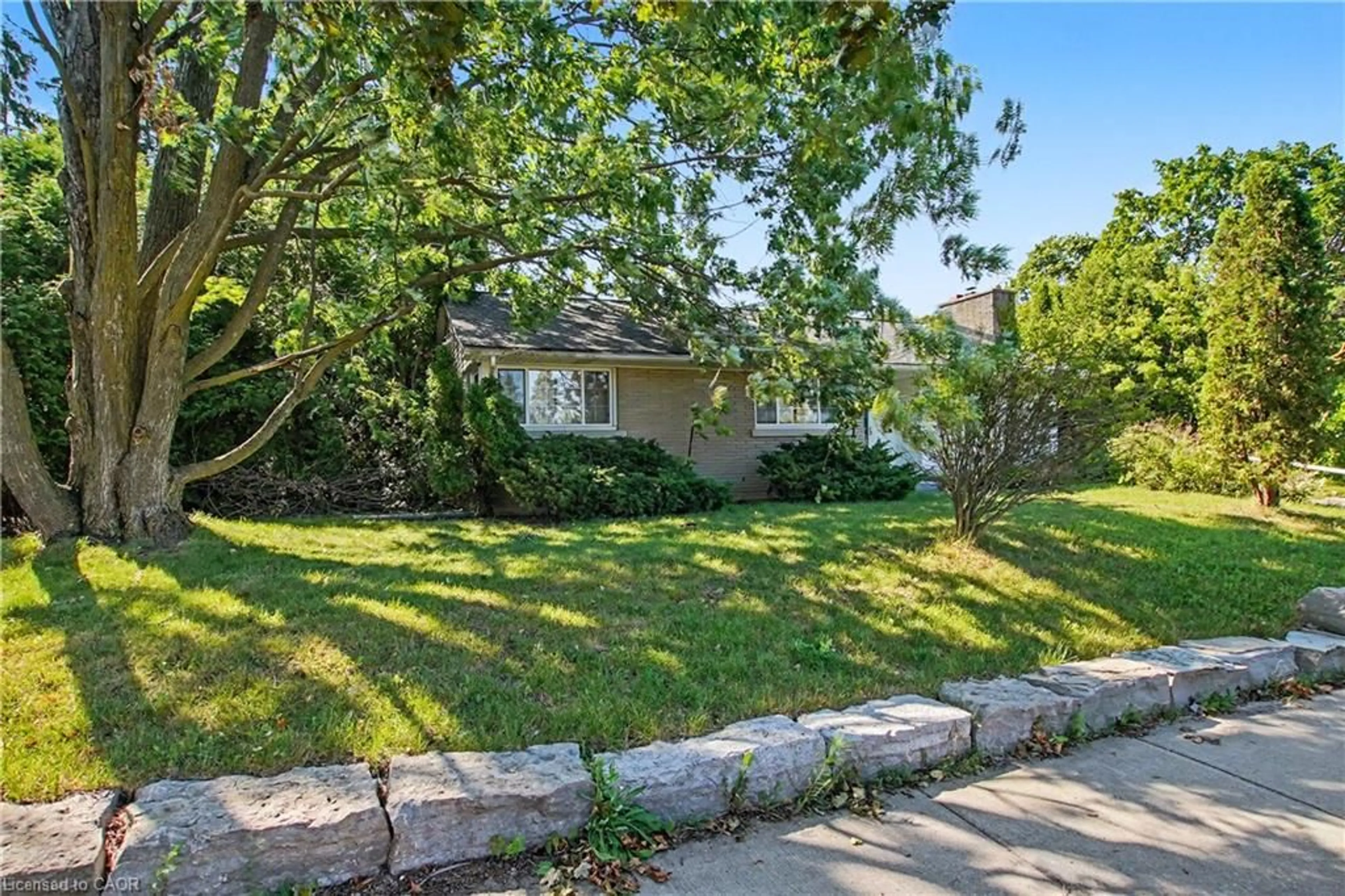 itso/IMG-40851741_2.jpg