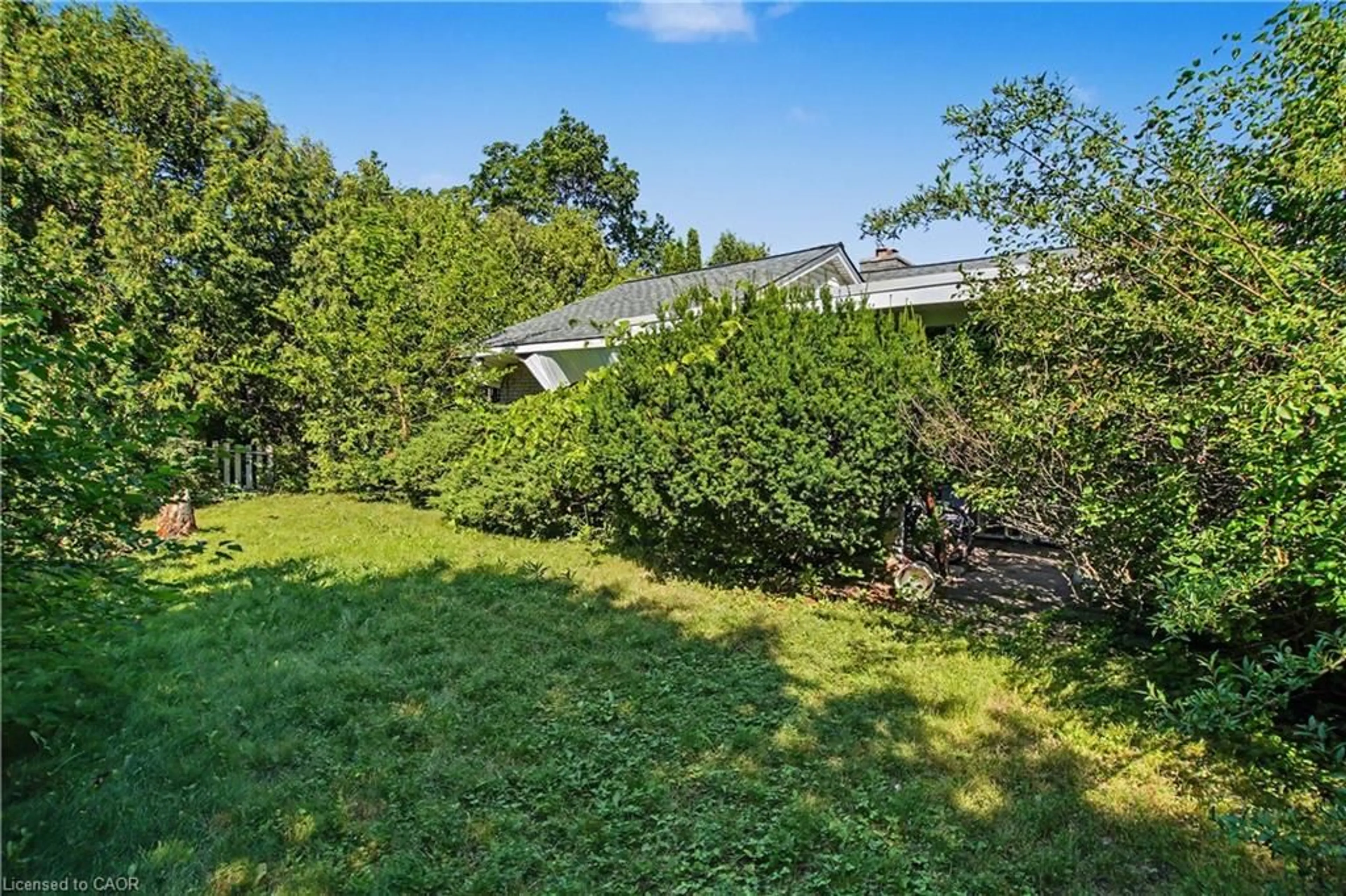 A pic from outside/outdoor area/front of a property/back of a property/a pic from drone, forest/trees view for 249 Woodhaven Rd, Kitchener Ontario N2C 1V6