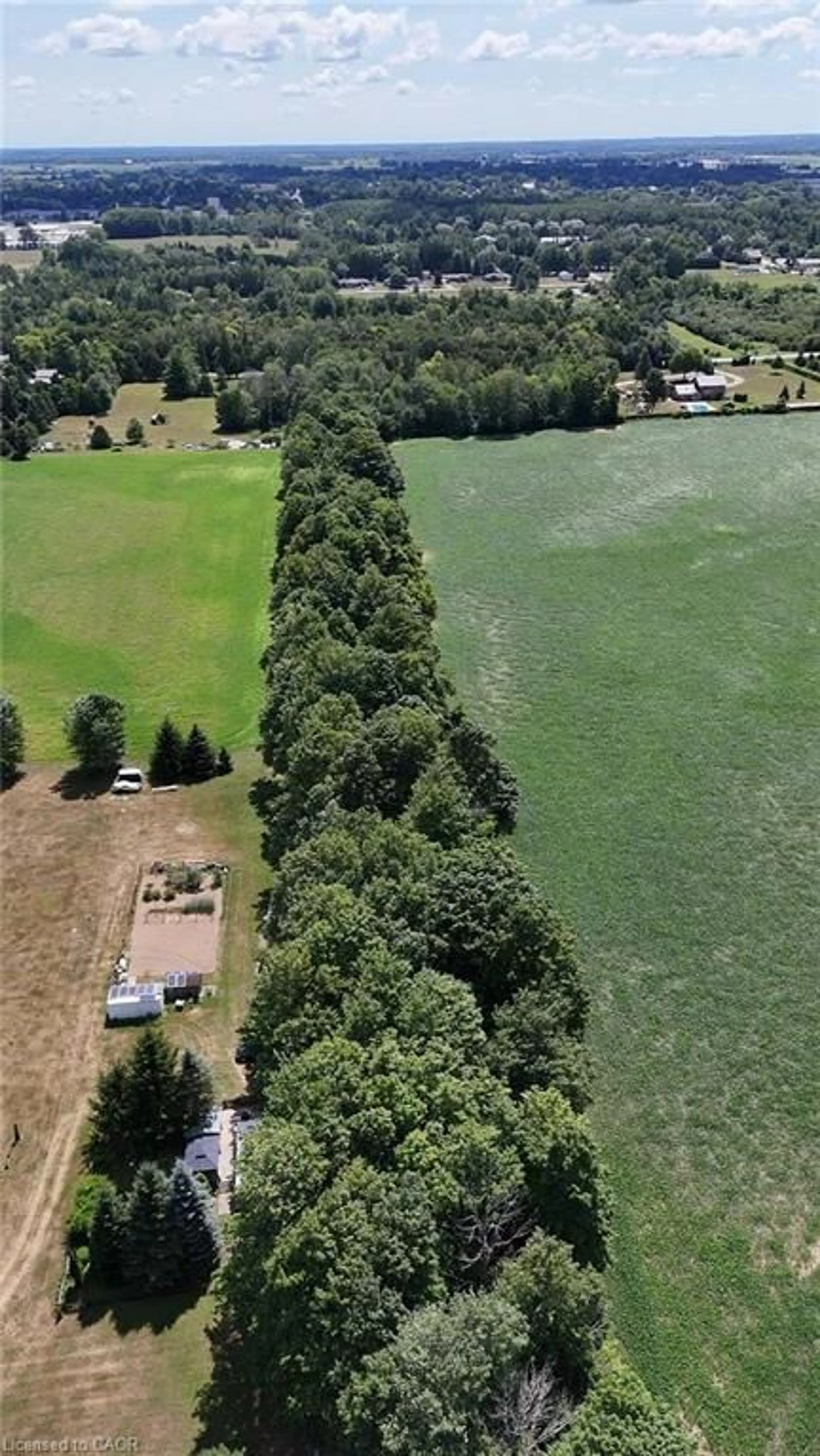 A pic from outside/outdoor area/front of a property/back of a property/a pic from drone, forest/trees view for 80 West St, Wingham Ontario N0G 2W0