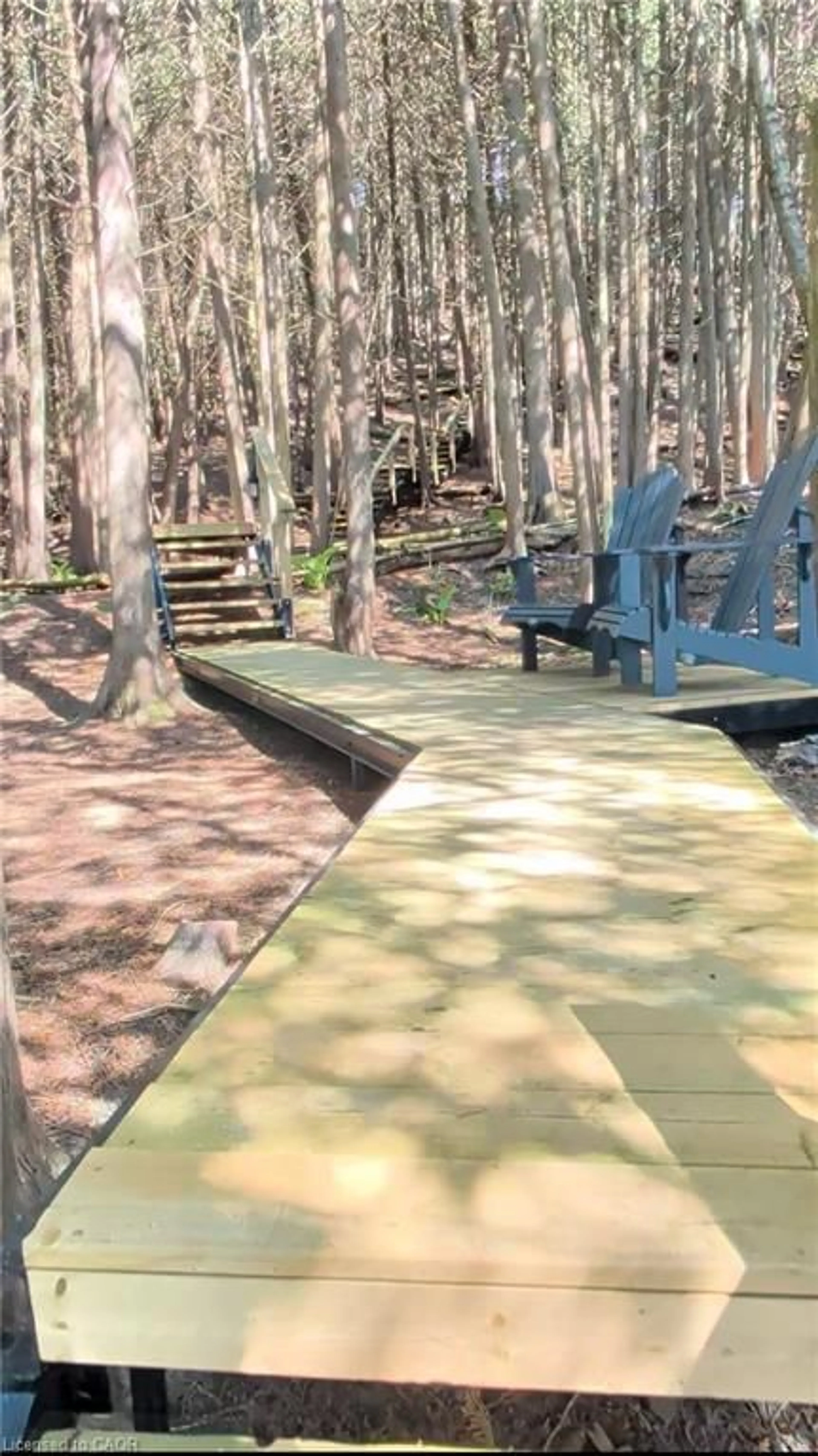 Patio, forest/trees view for 49 Huron St, Port Albert Ontario N7A 3X9