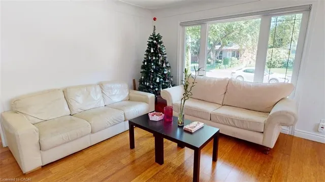 56 Lower Horning Rd, Hamilton 5