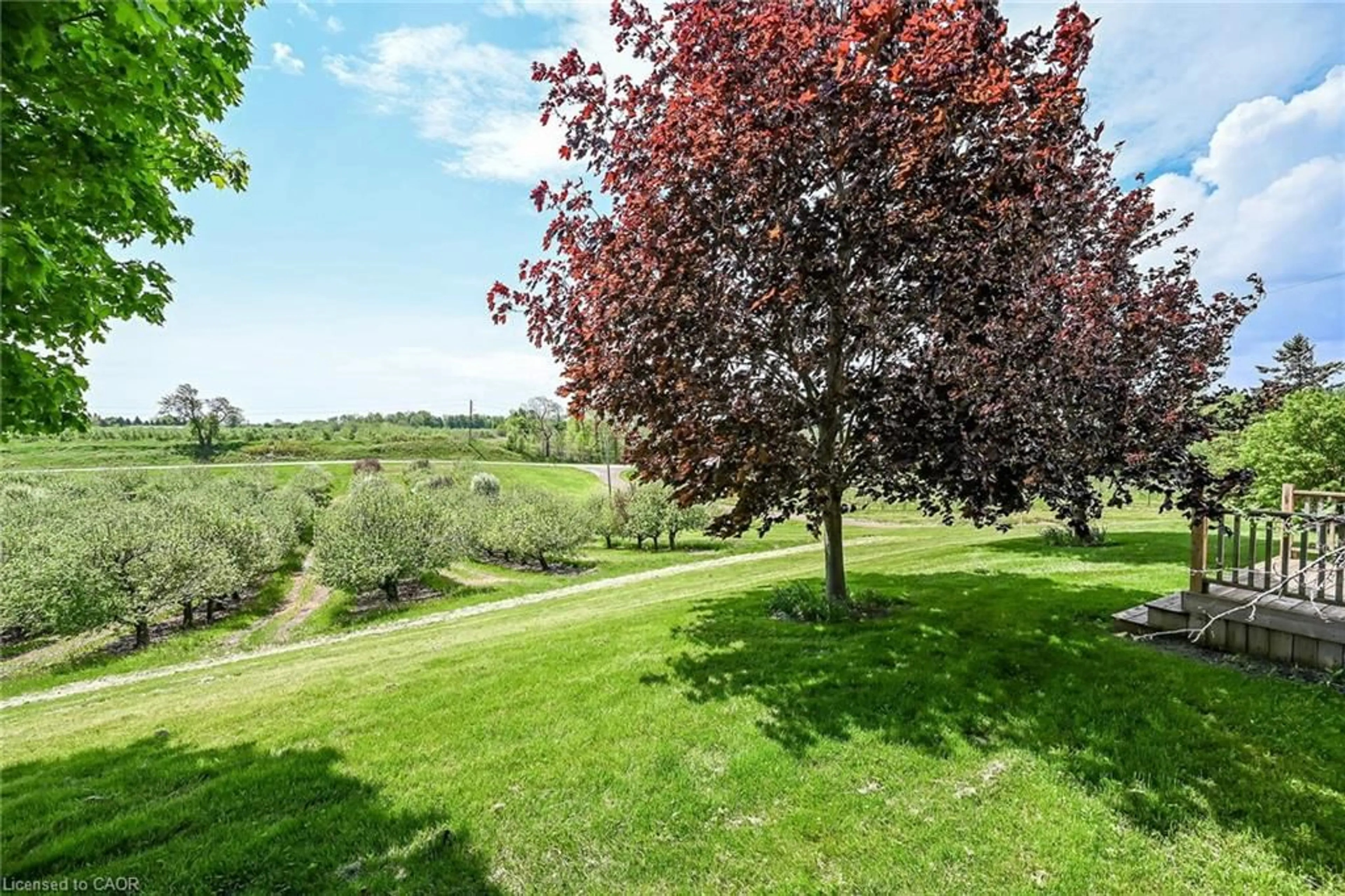 A pic from outside/outdoor area/front of a property/back of a property/a pic from drone, forest/trees view for 903 Concession 13 Townsend, Simcoe Ontario N3Y 4K3
