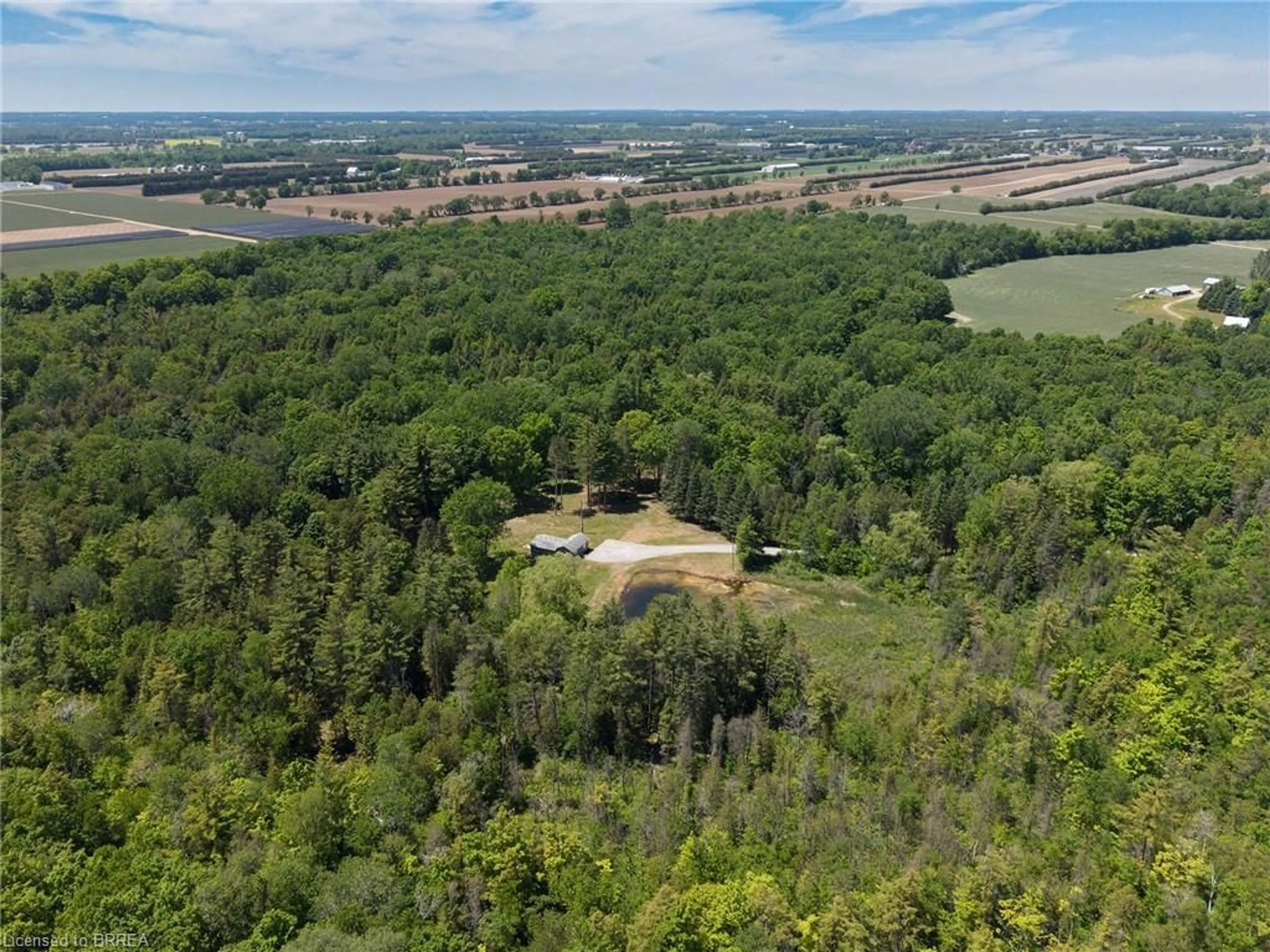 A pic from outside/outdoor area/front of a property/back of a property/a pic from drone, forest/trees view for 1521 Windham Road 19, Norfolk County Ontario N0E 1H0
