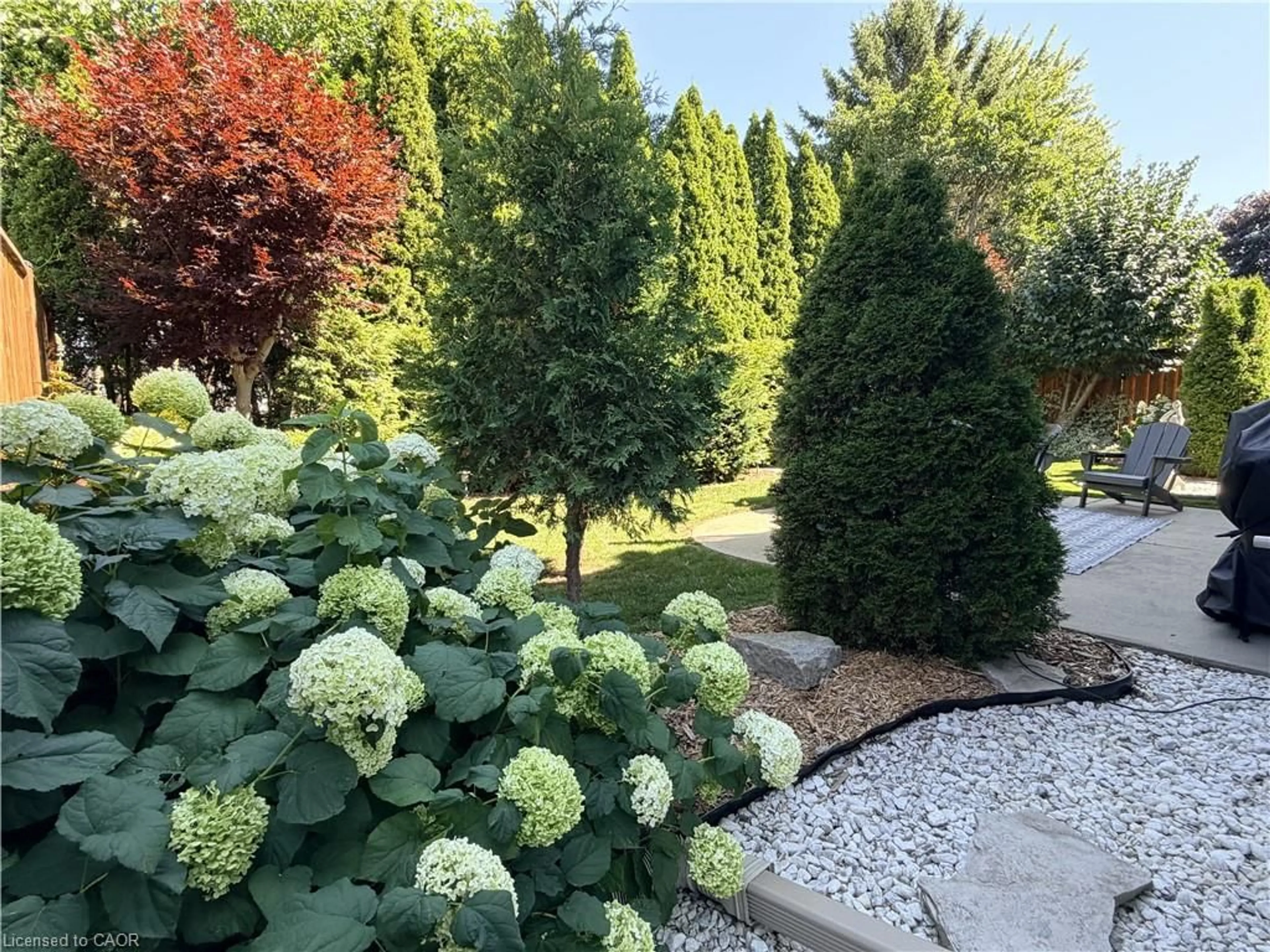Patio, forest/trees view for 7 Mann Ave, Simcoe Ontario N3Y 5J3
