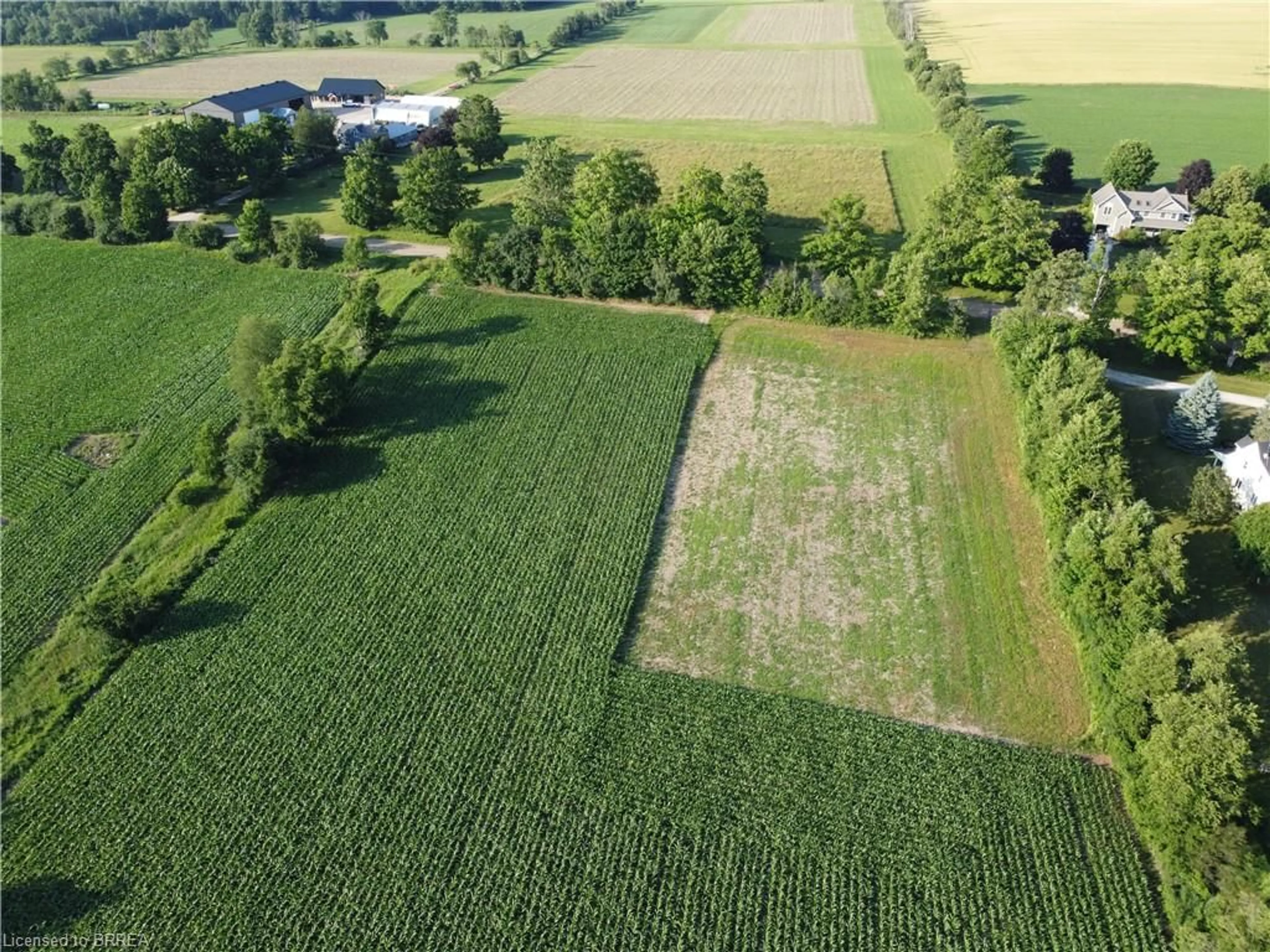 A pic from outside/outdoor area/front of a property/back of a property/a pic from drone, forest/trees view for 5224 Third Line, Acton Ontario L7J 2L8