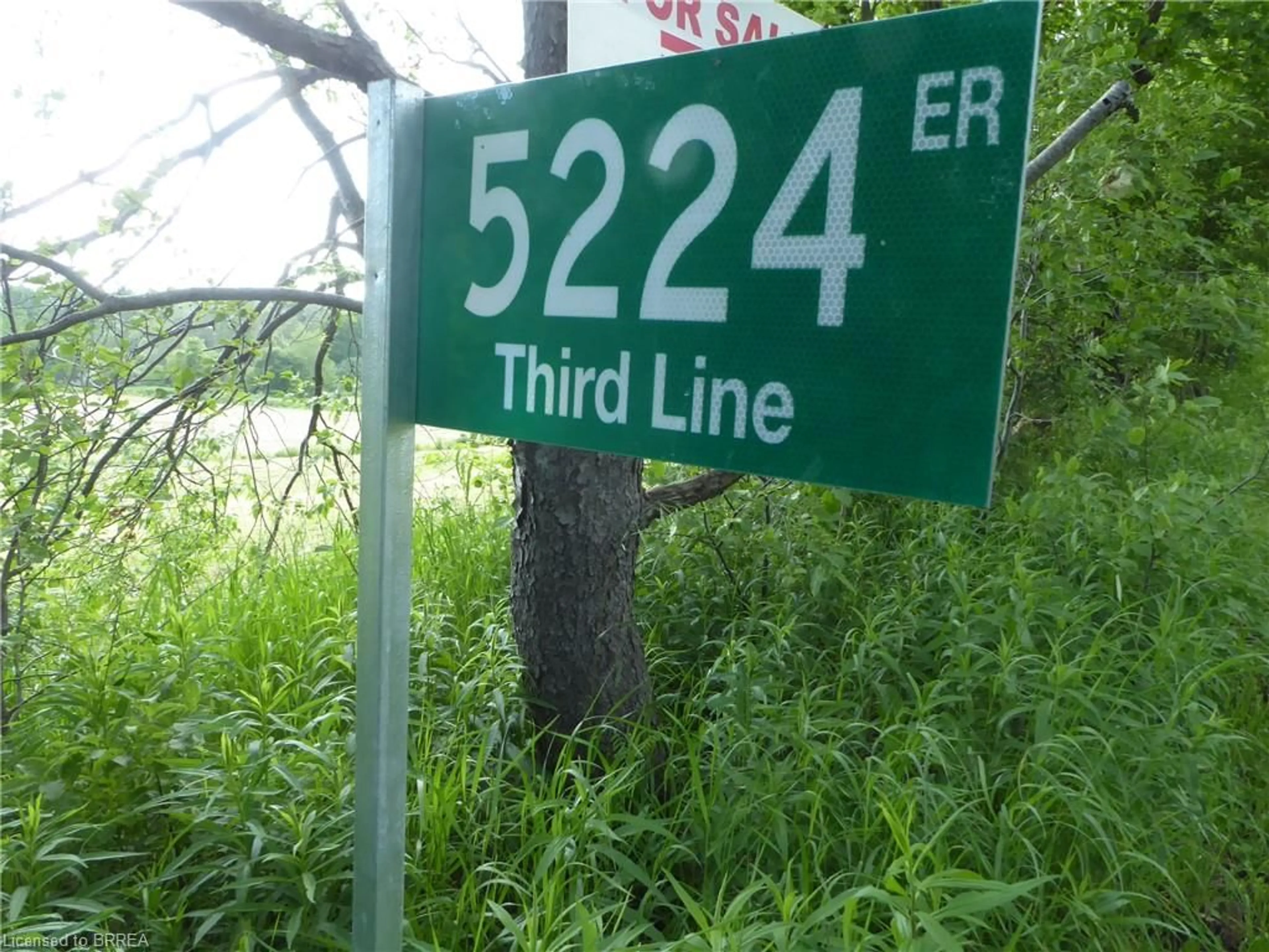 Blurry image for 5224 Third Line, Acton Ontario L7J 2L8