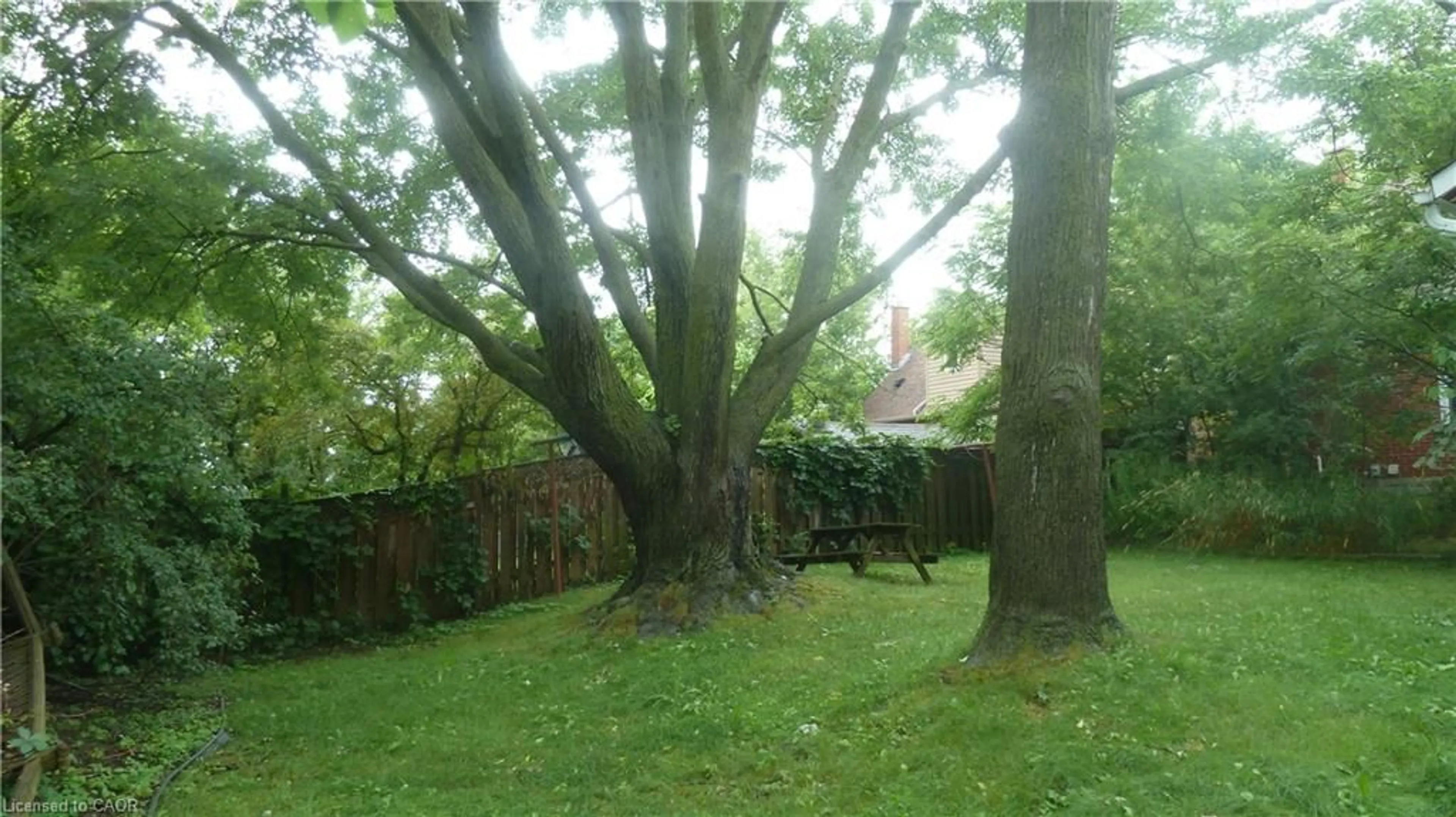 Blurry image for 169 Union St, Waterloo Ontario N2J 1C4