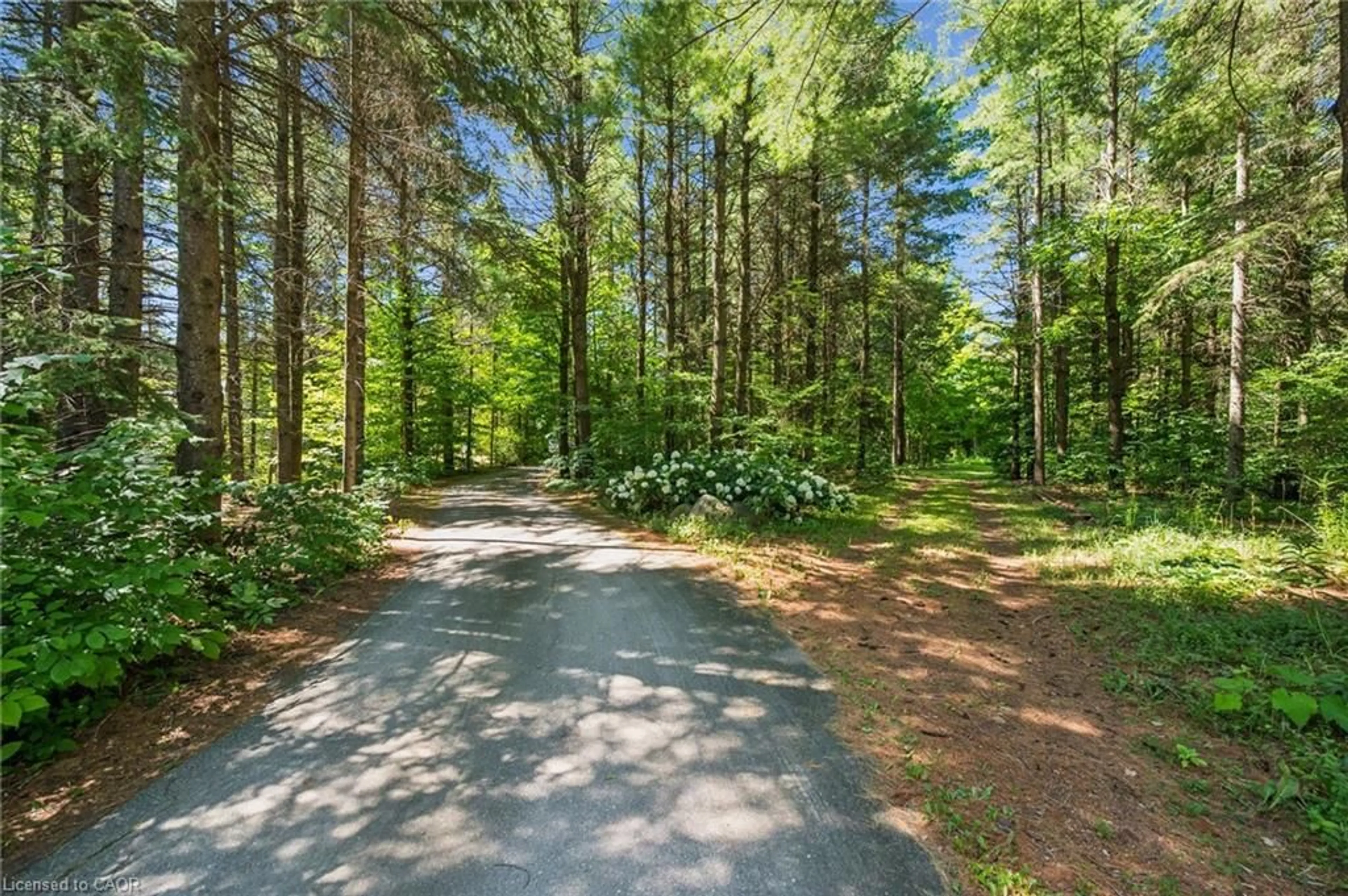 Unknown for 4676 Concession 11 Rd, Puslinch Ontario N0B 2J0