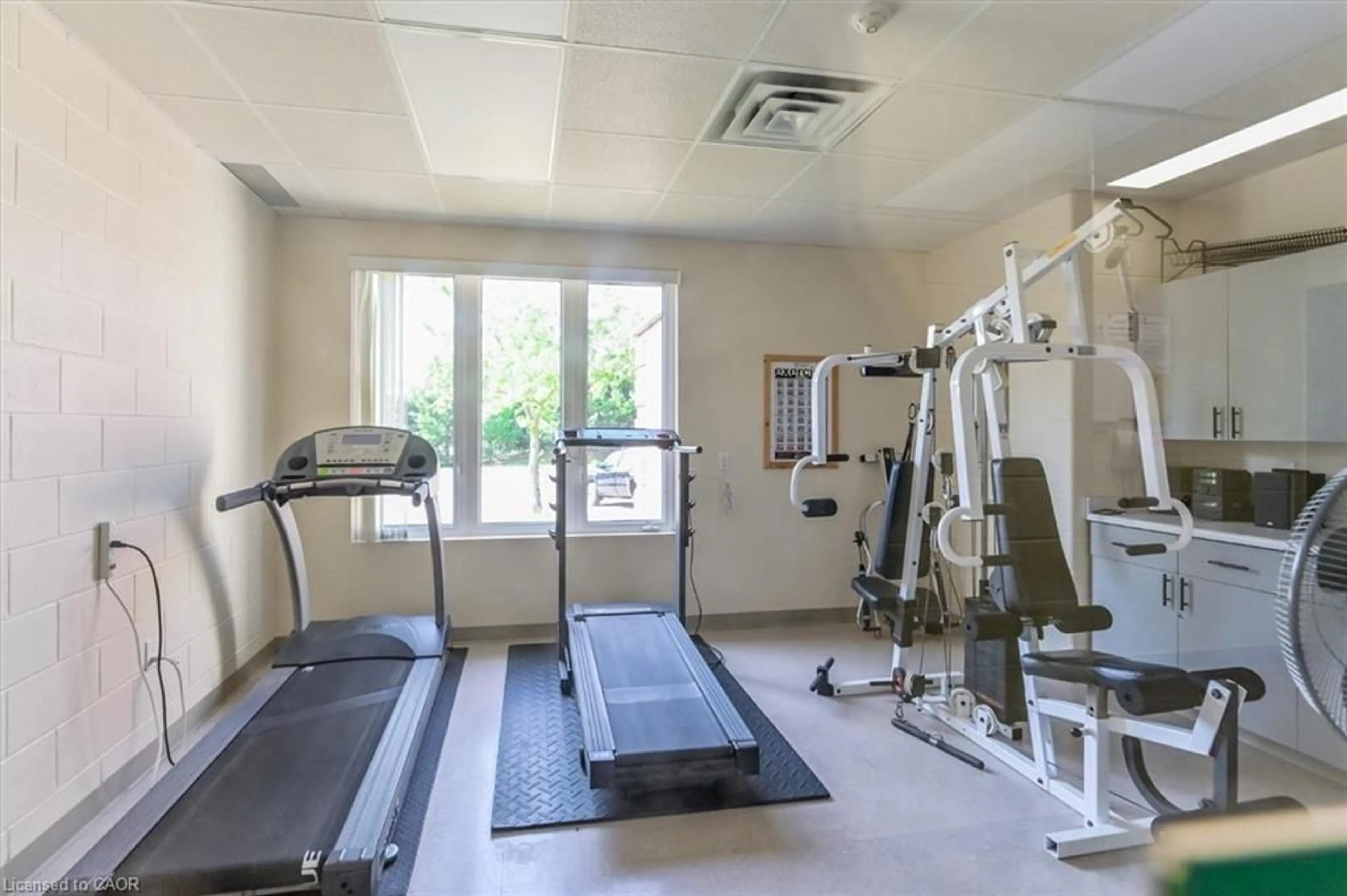 Gym or fitness room for 60 Pine Ridge Rd Rd, Belwood Ontario N0B 1J0