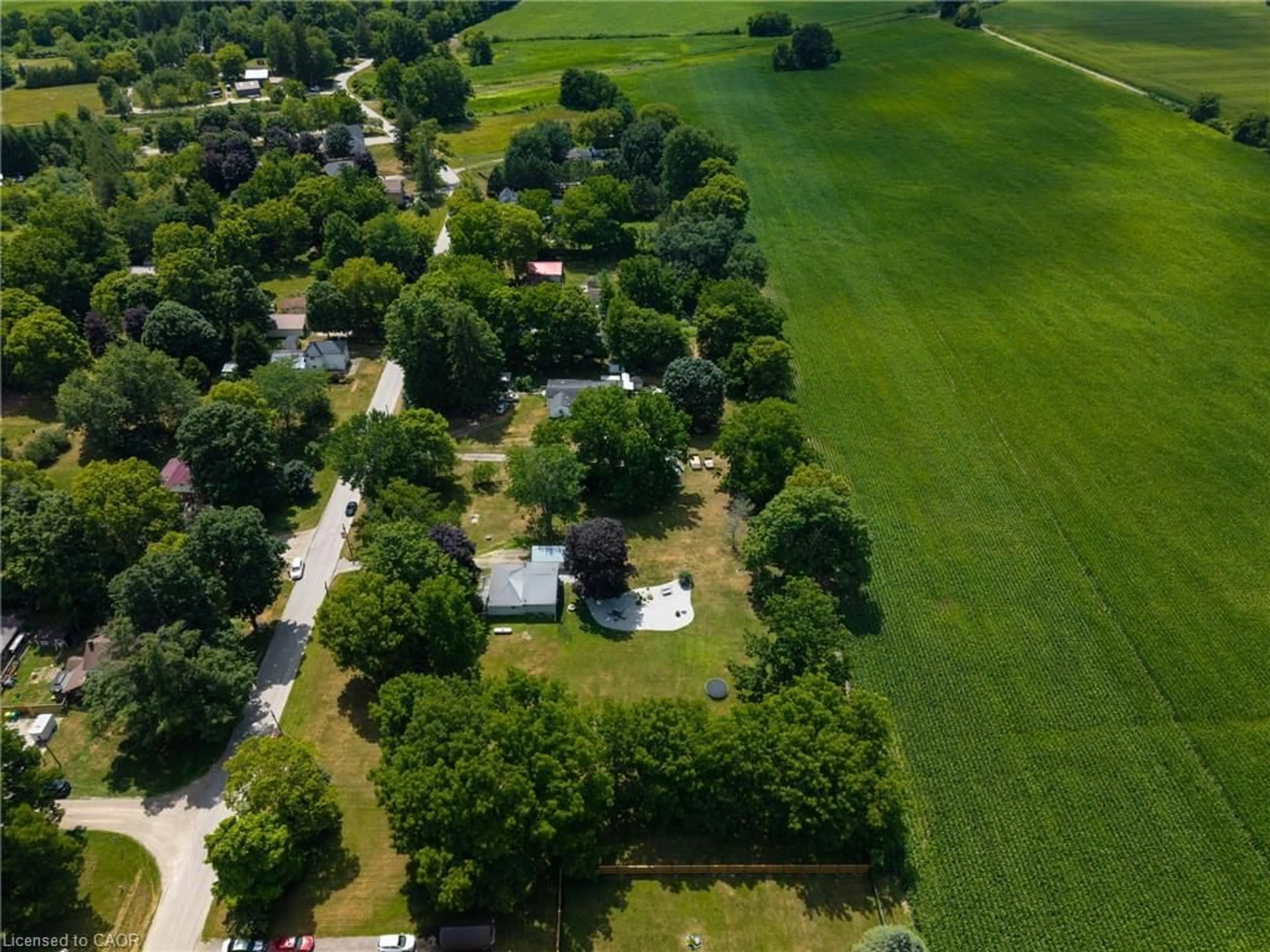 A pic from outside/outdoor area/front of a property/back of a property/a pic from drone, street for 15 Middlemiss Ave, Melbourne Ontario N0L 1T0