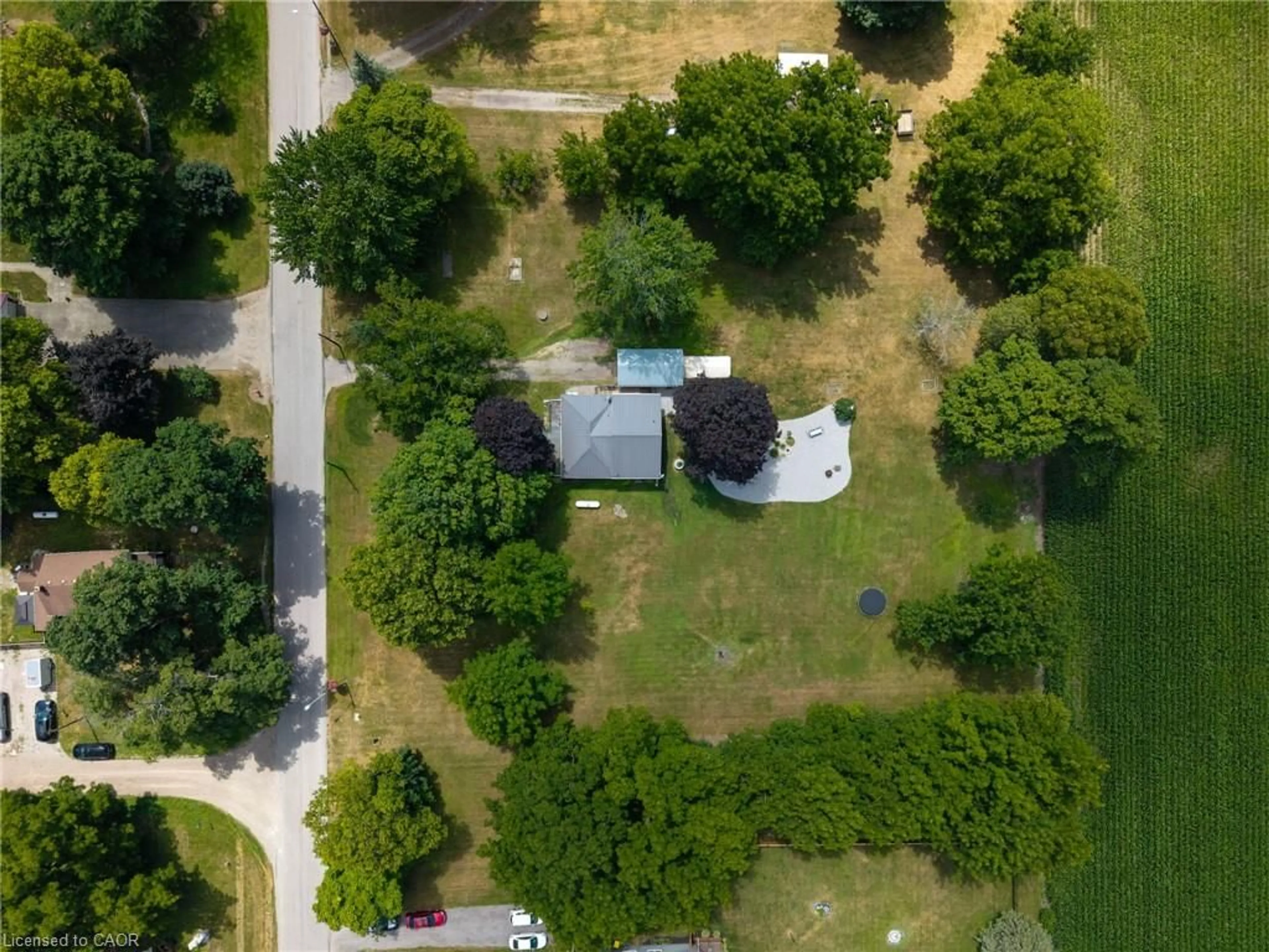 A pic from outside/outdoor area/front of a property/back of a property/a pic from drone, street for 15 Middlemiss Ave, Melbourne Ontario N0L 1T0