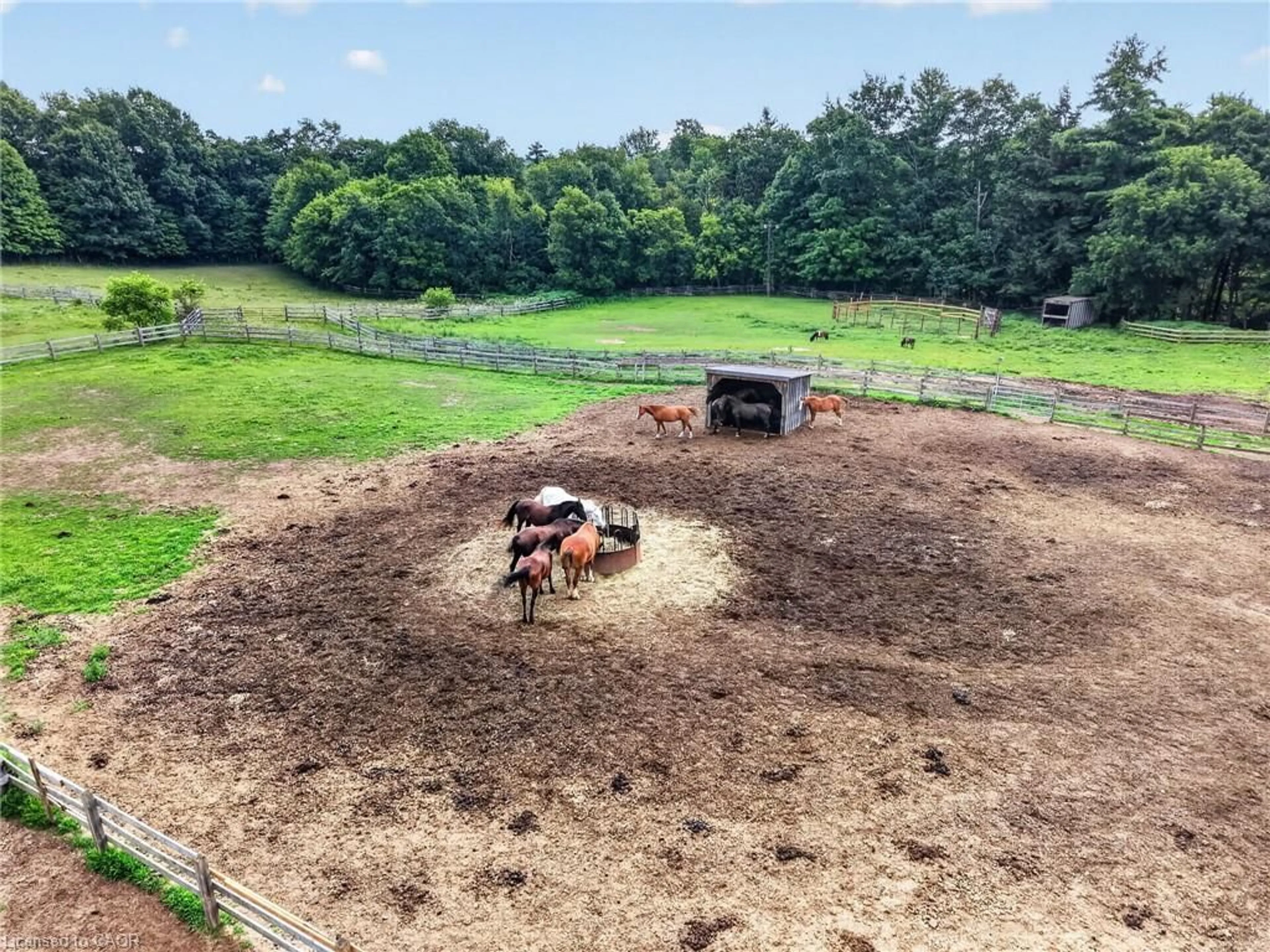 A pic from outside/outdoor area/front of a property/back of a property/a pic from drone, building for 1396 Progreston Rd, Carlisle Ontario L0R 1H3