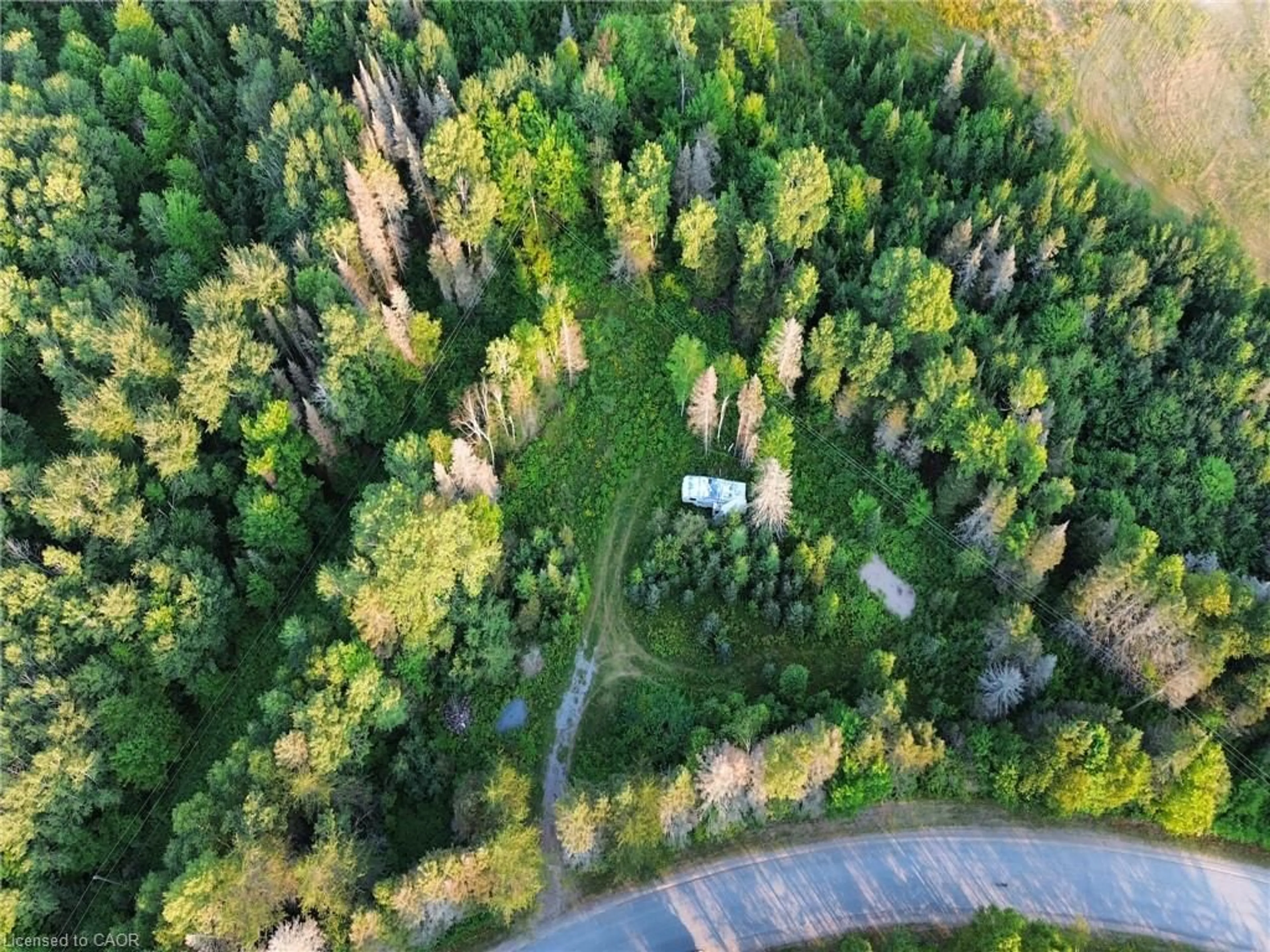 A pic from outside/outdoor area/front of a property/back of a property/a pic from drone, forest/trees view for 1370 Lee Valley Rd, Massey Ontario P0P 1P0
