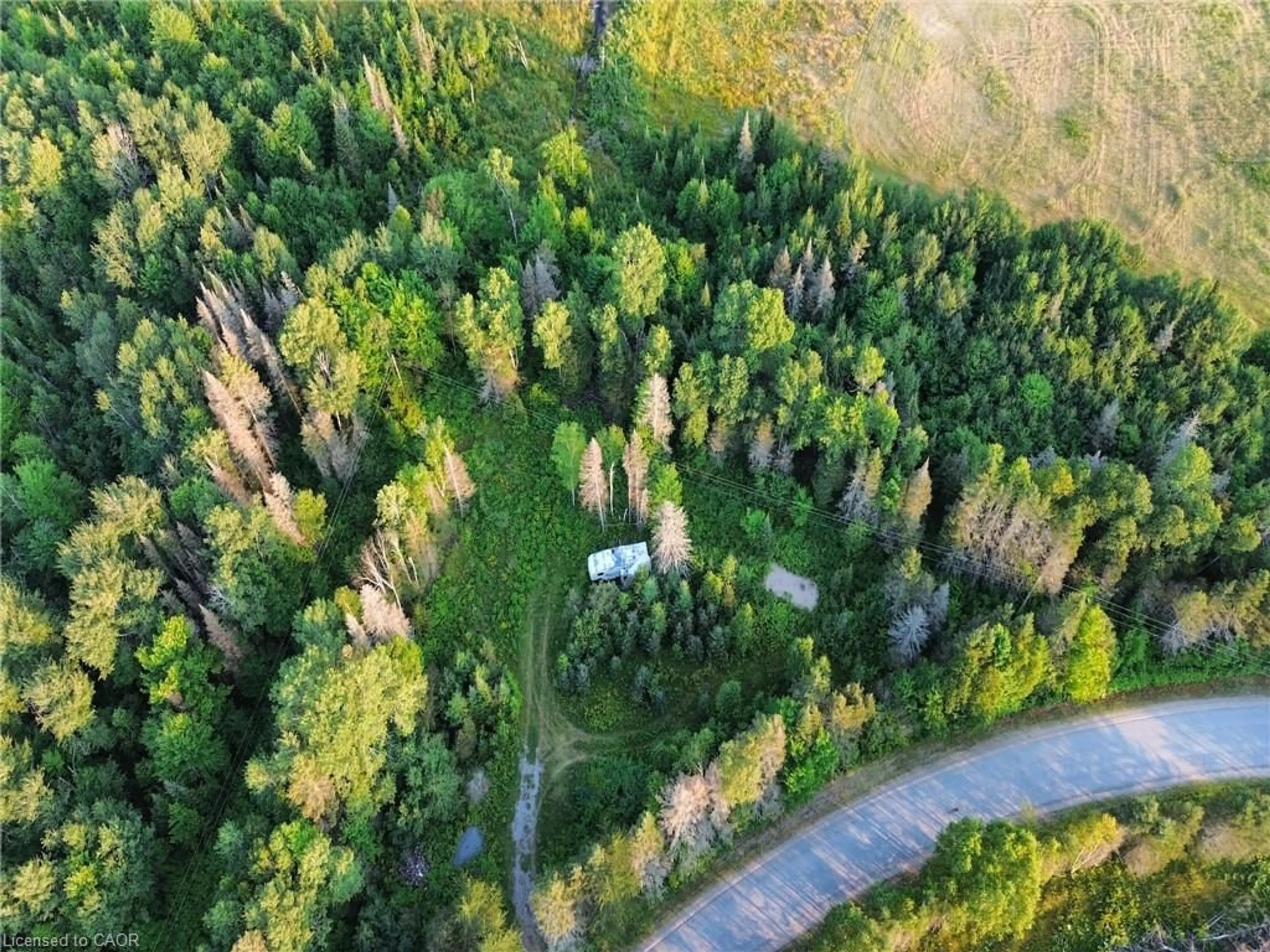 A pic from outside/outdoor area/front of a property/back of a property/a pic from drone, forest/trees view for 1370 Lee Valley Rd, Massey Ontario P0P 1P0