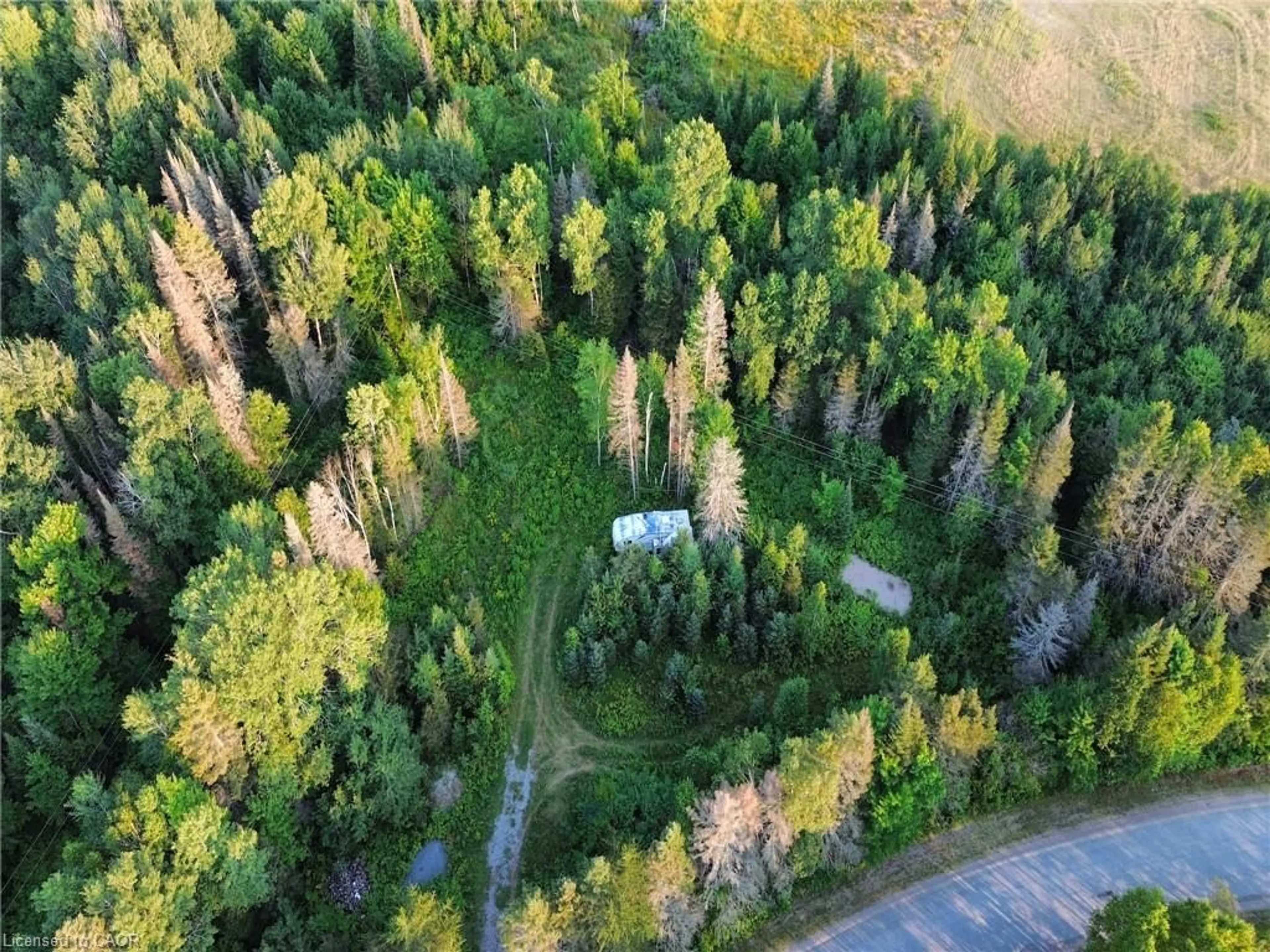 A pic from outside/outdoor area/front of a property/back of a property/a pic from drone, forest/trees view for 1370 Lee Valley Rd, Massey Ontario P0P 1P0