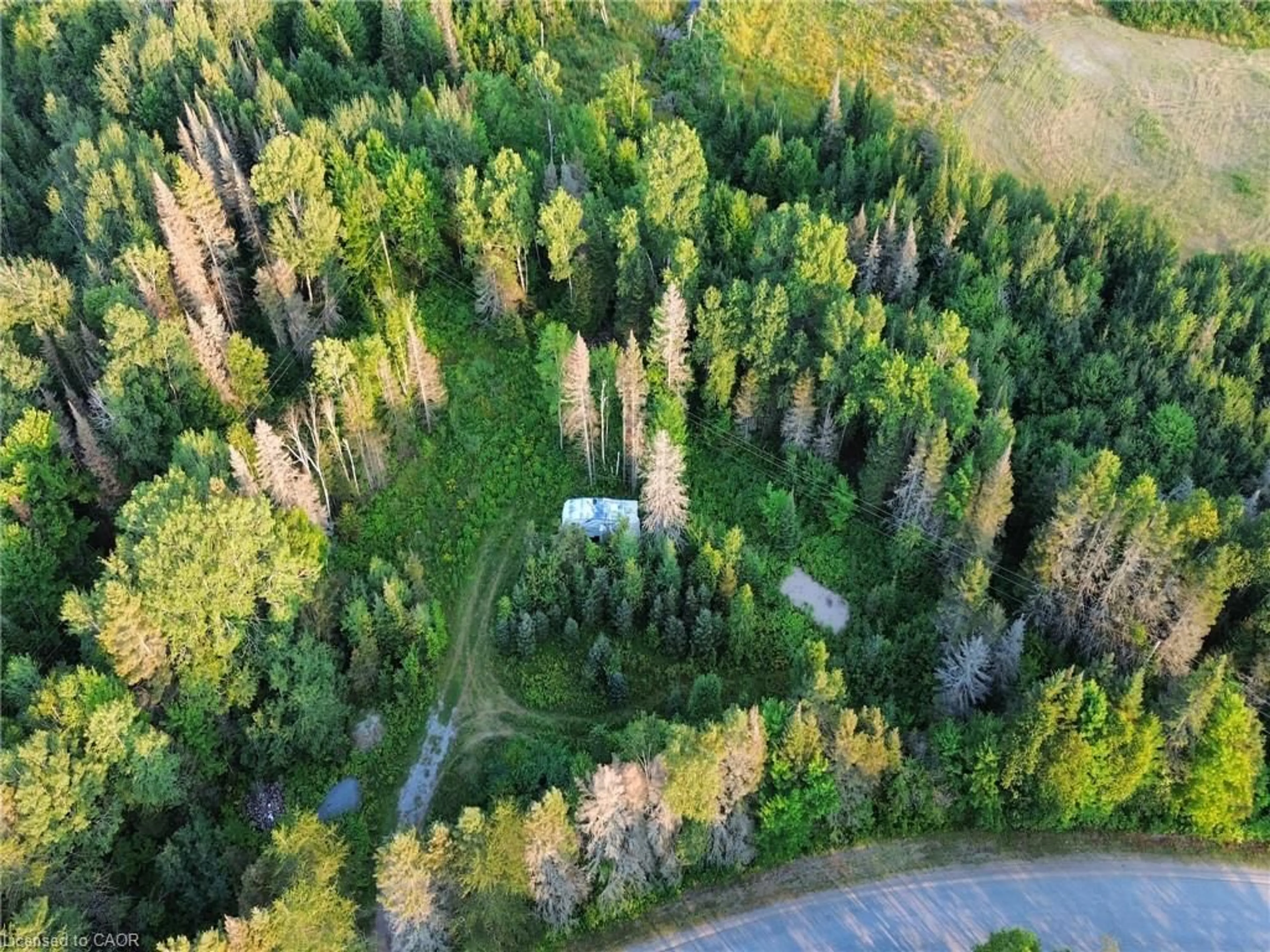 A pic from outside/outdoor area/front of a property/back of a property/a pic from drone, forest/trees view for 1370 Lee Valley Rd, Massey Ontario P0P 1P0