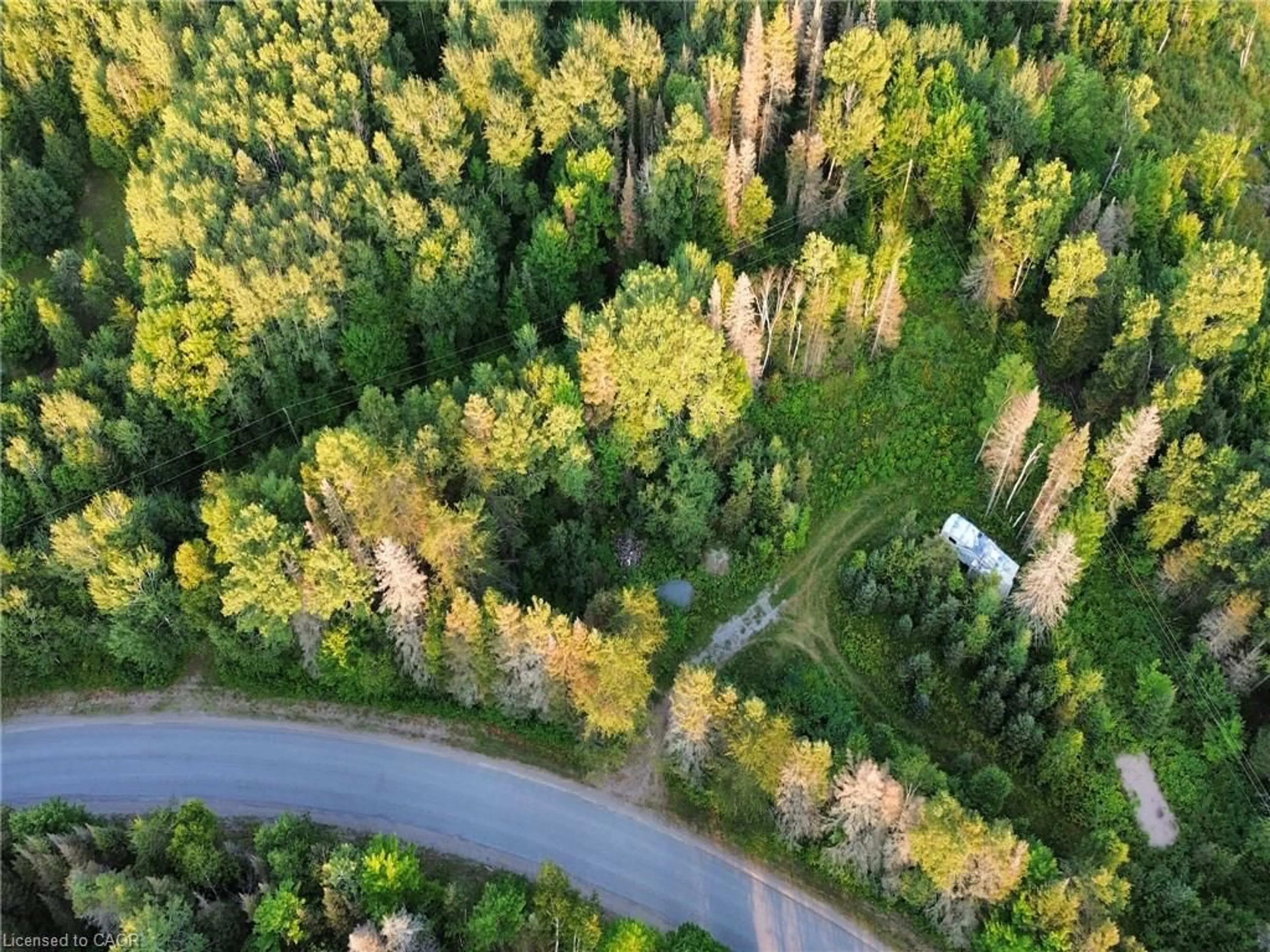 A pic from outside/outdoor area/front of a property/back of a property/a pic from drone, forest/trees view for 1370 Lee Valley Rd, Massey Ontario P0P 1P0