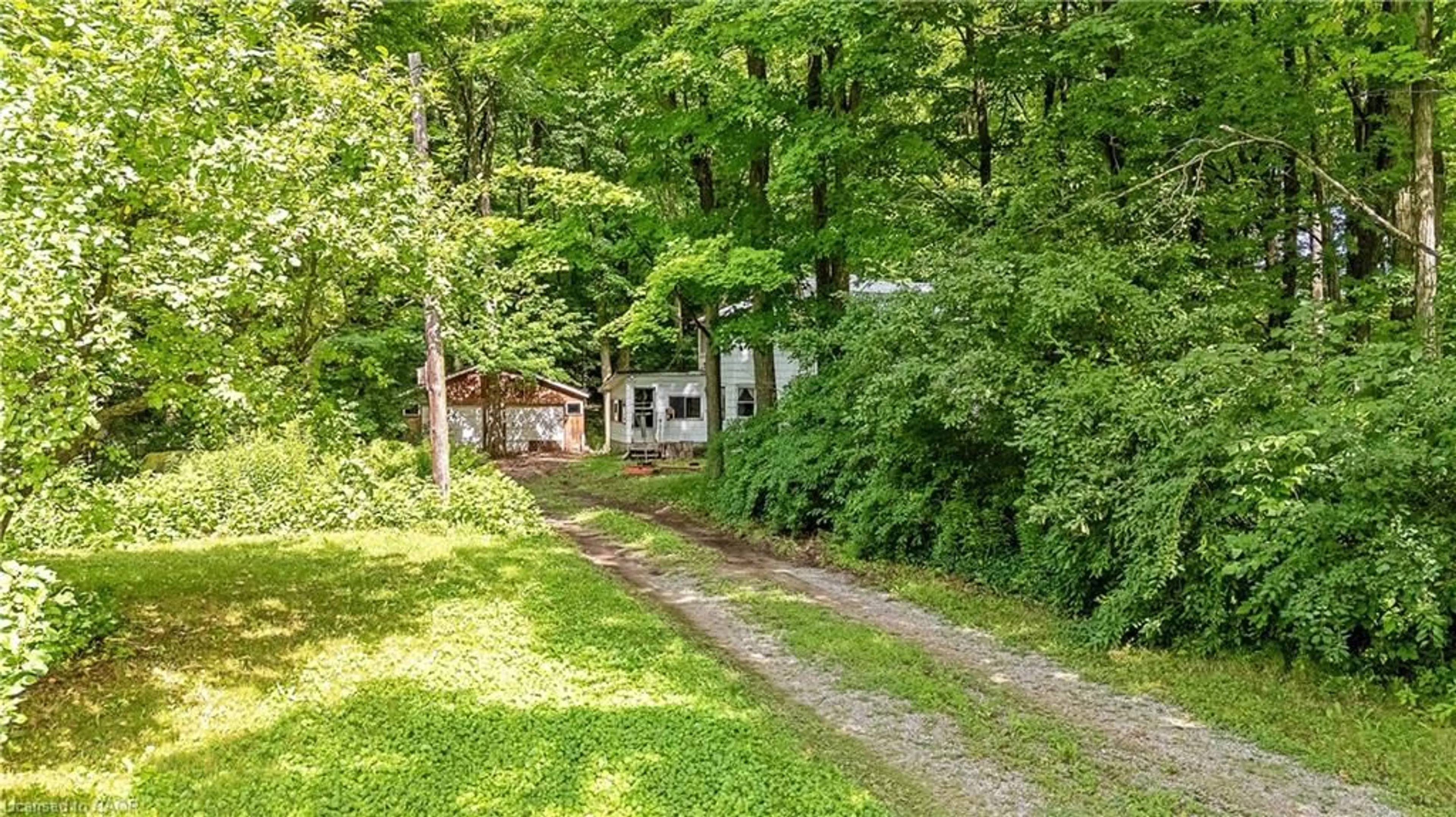 A pic from outside/outdoor area/front of a property/back of a property/a pic from drone, forest/trees view for 2529 Campbellville Rd, Campbellville Ontario L9T 2X7