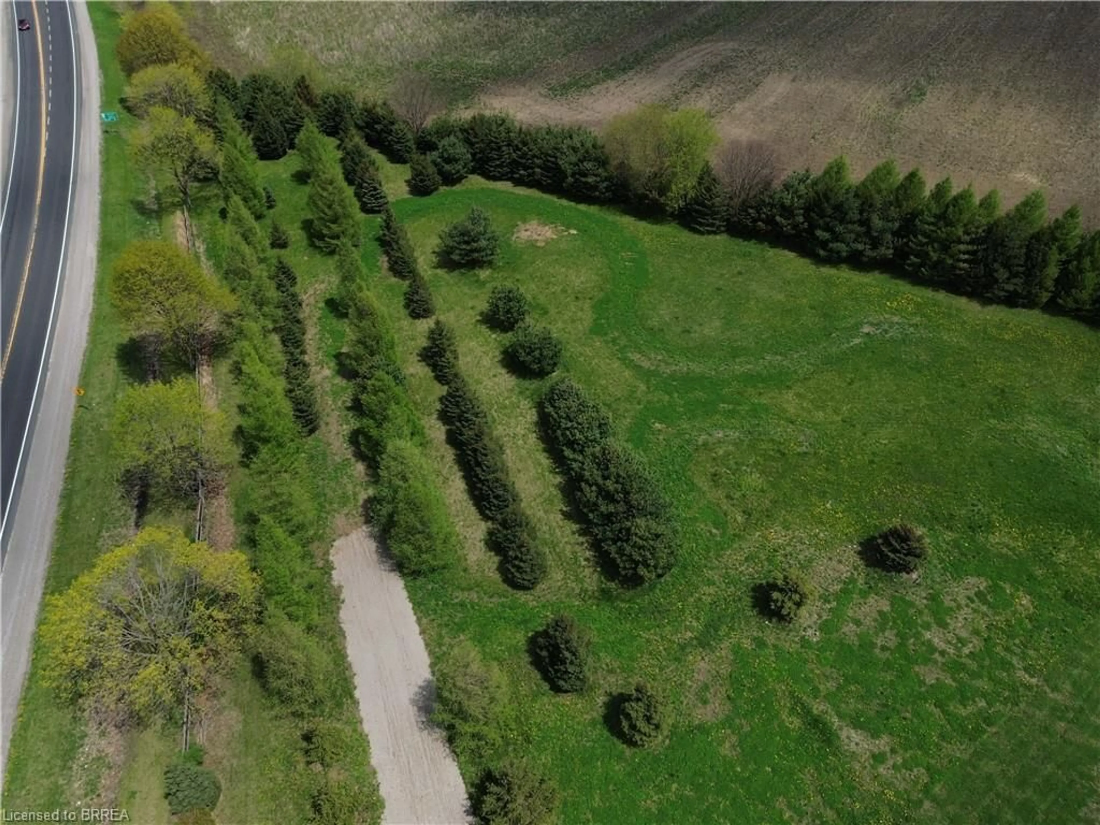 A pic from outside/outdoor area/front of a property/back of a property/a pic from drone, forest/trees view for 38A Highway 24, Scotland Ontario N0E 1R0
