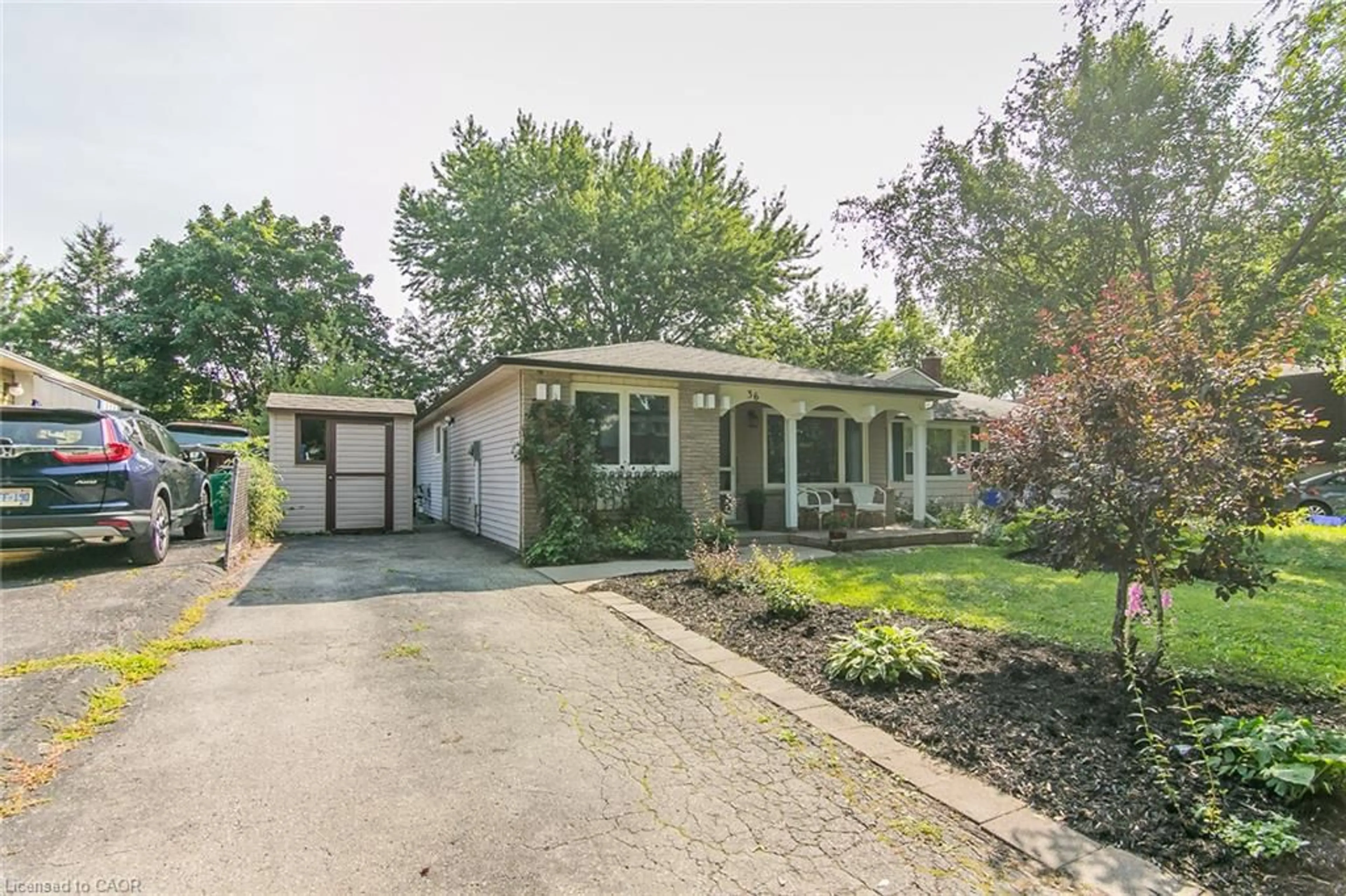 Unknown for 36 Amos Ave, Waterloo Ontario N2L 5G3