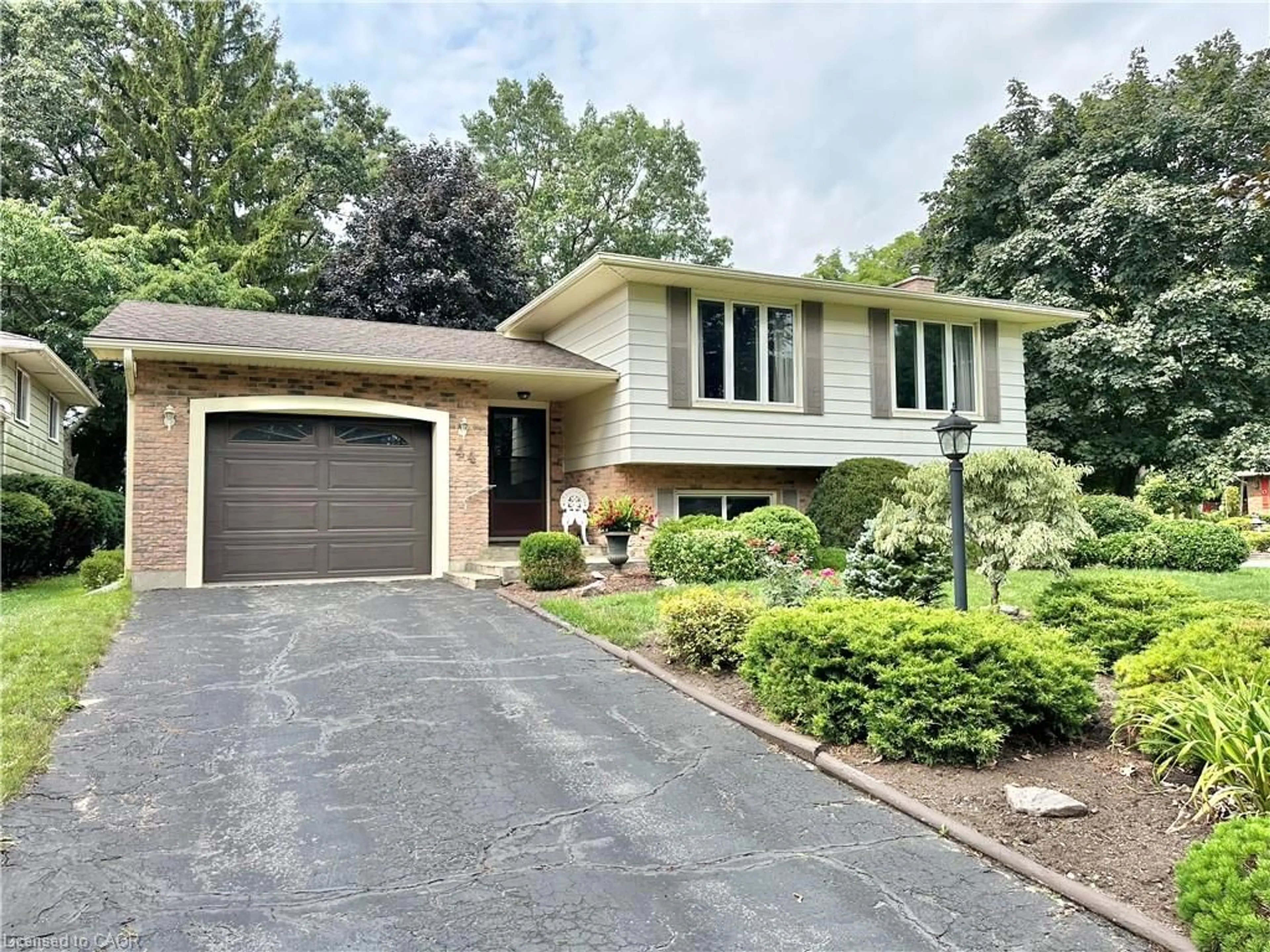 Home with brick exterior material, street for 44 Douglas Ave, Simcoe Ontario N3Y 4W8