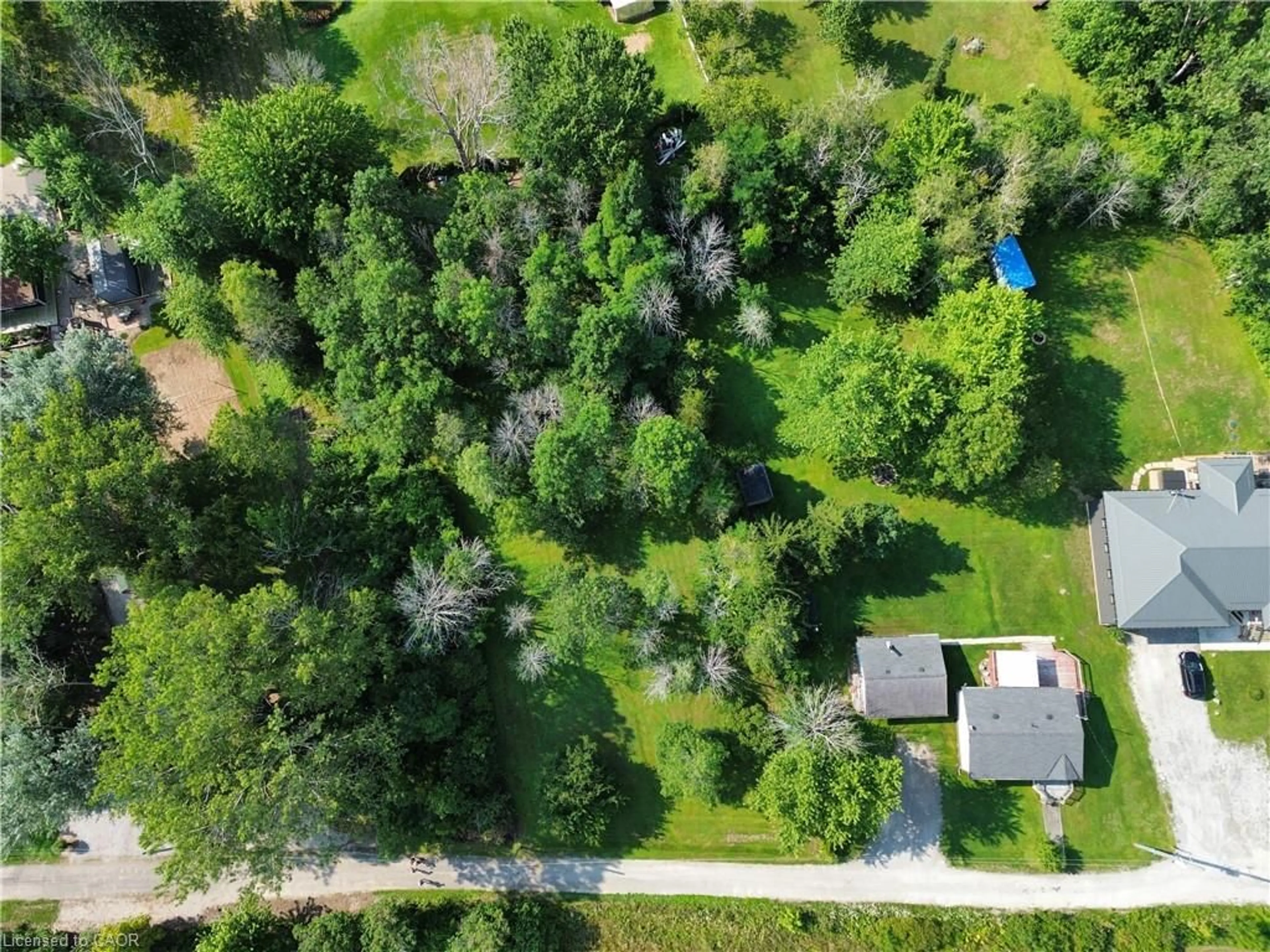 A pic from outside/outdoor area/front of a property/back of a property/a pic from drone, forest/trees view for 10 Humming Bird Lane, Selkirk Ontario N0A 1P0