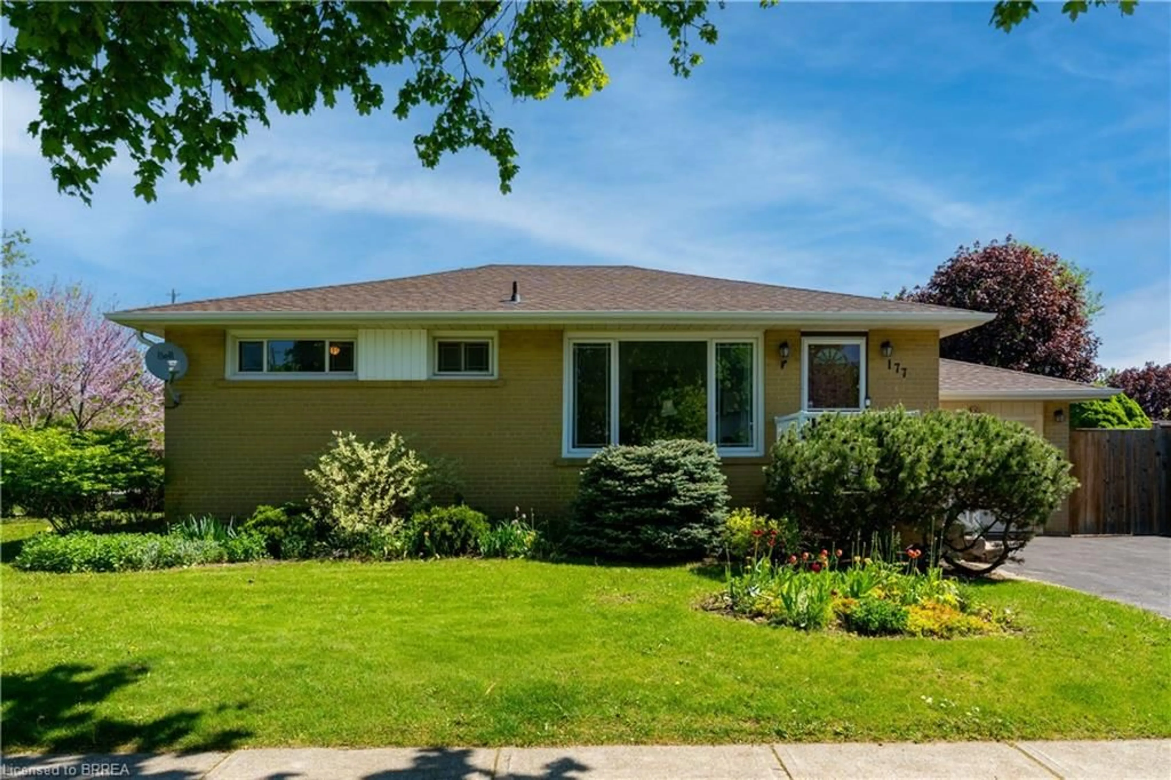 Home with vinyl exterior material, street for 177 Delrex Blvd, Georgetown Ontario L7G 4E4