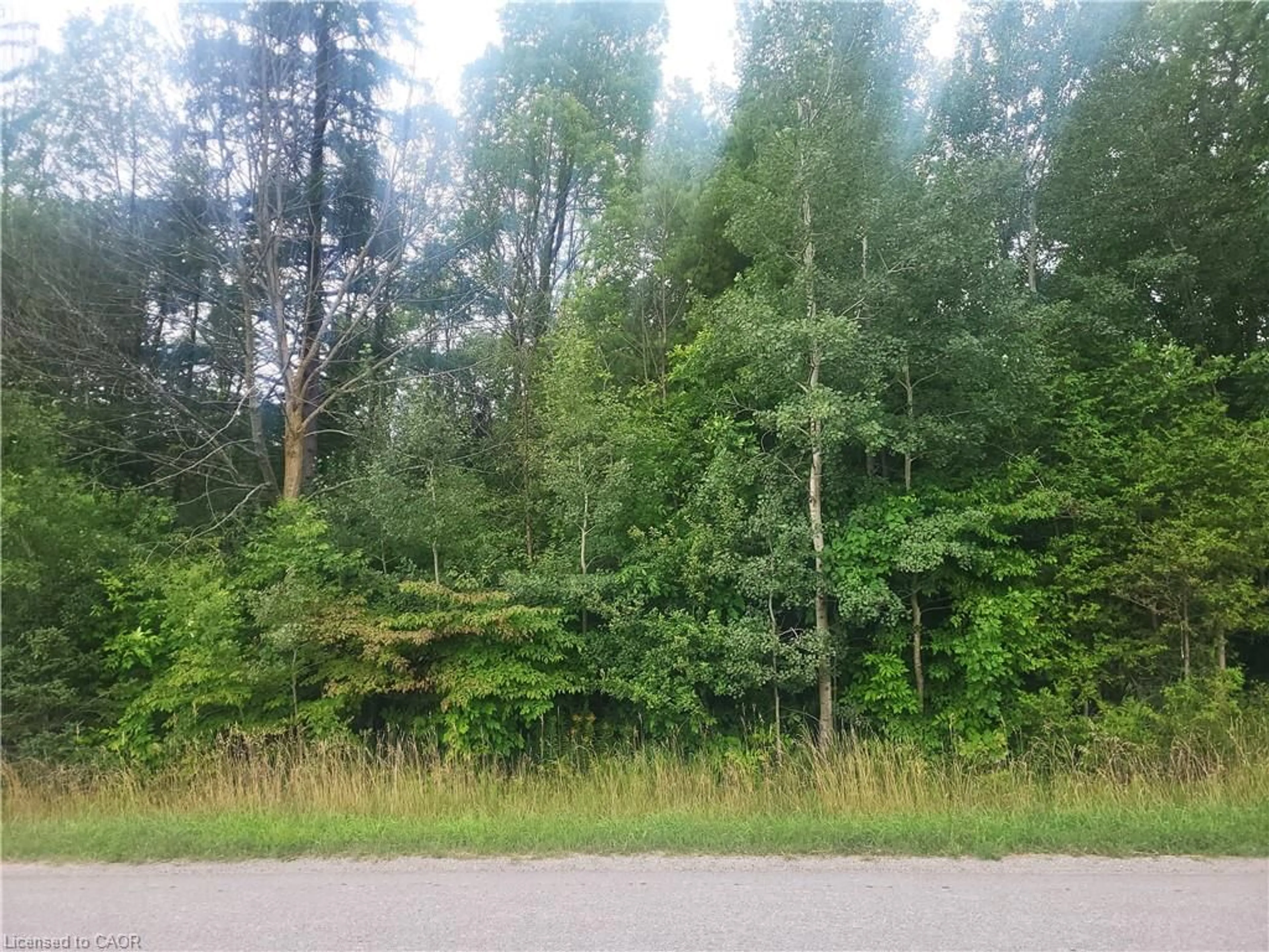 Blurry image for 6492 10th Line, Harriston Ontario N0G 1Z0