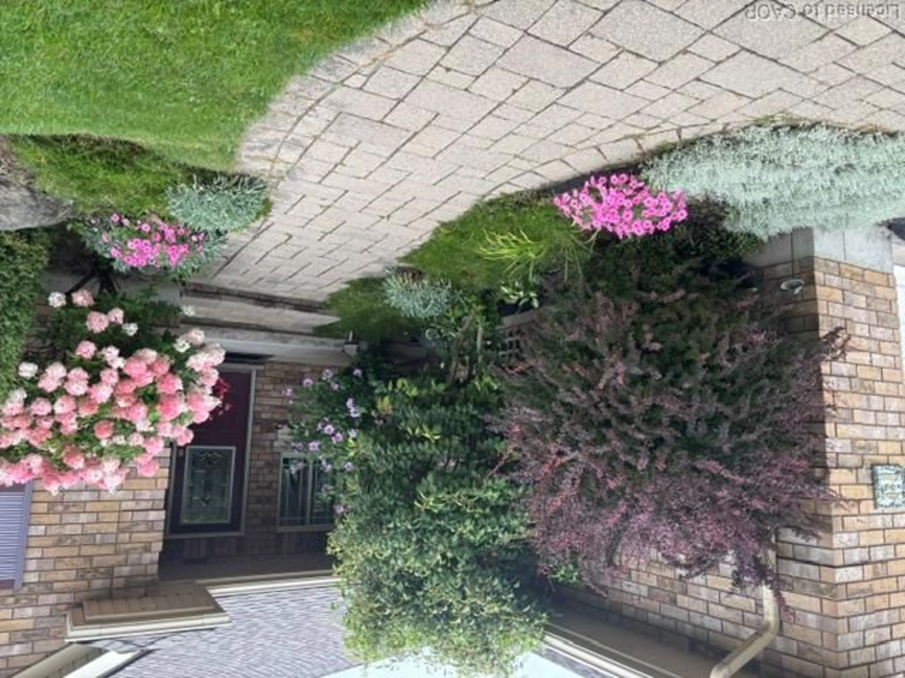 Patio, street for 447 Queen St, Simcoe Ontario N3Y 5N1