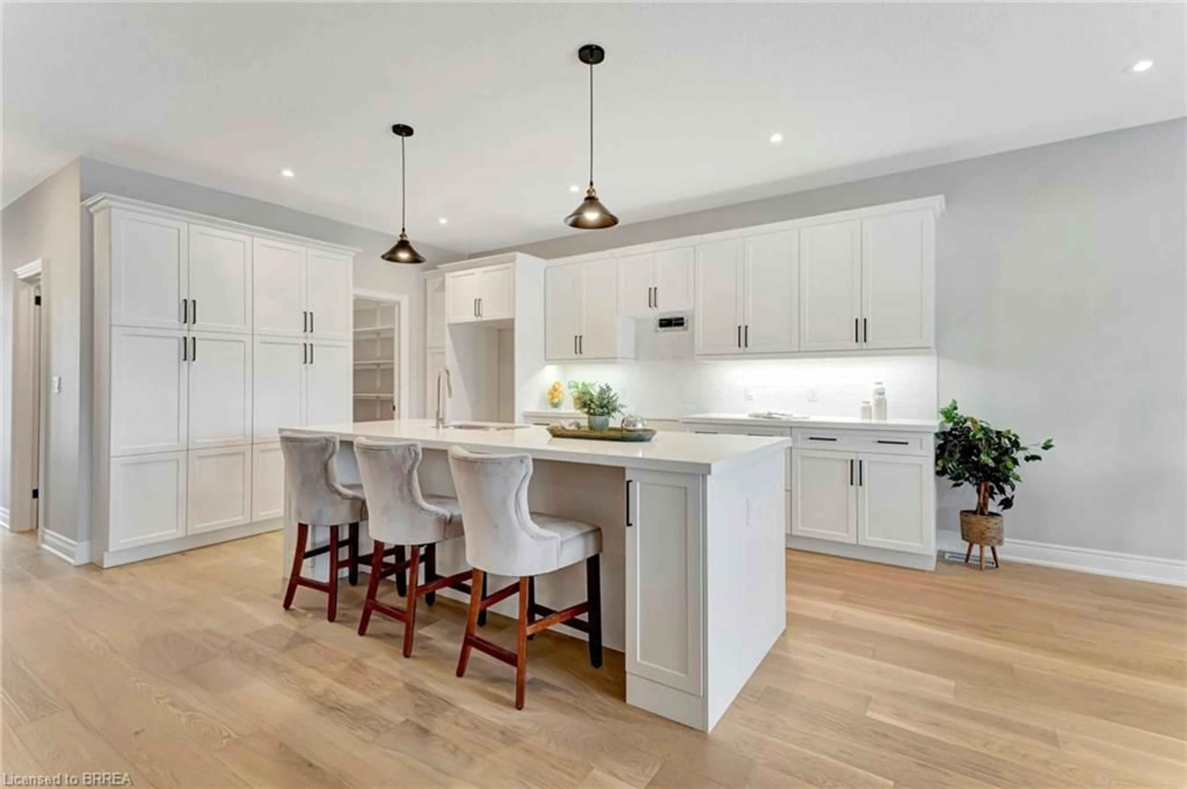 Open concept kitchen, wood/laminate floor for 93 Craddock Blvd, Jarvis Ontario N0A 1J0
