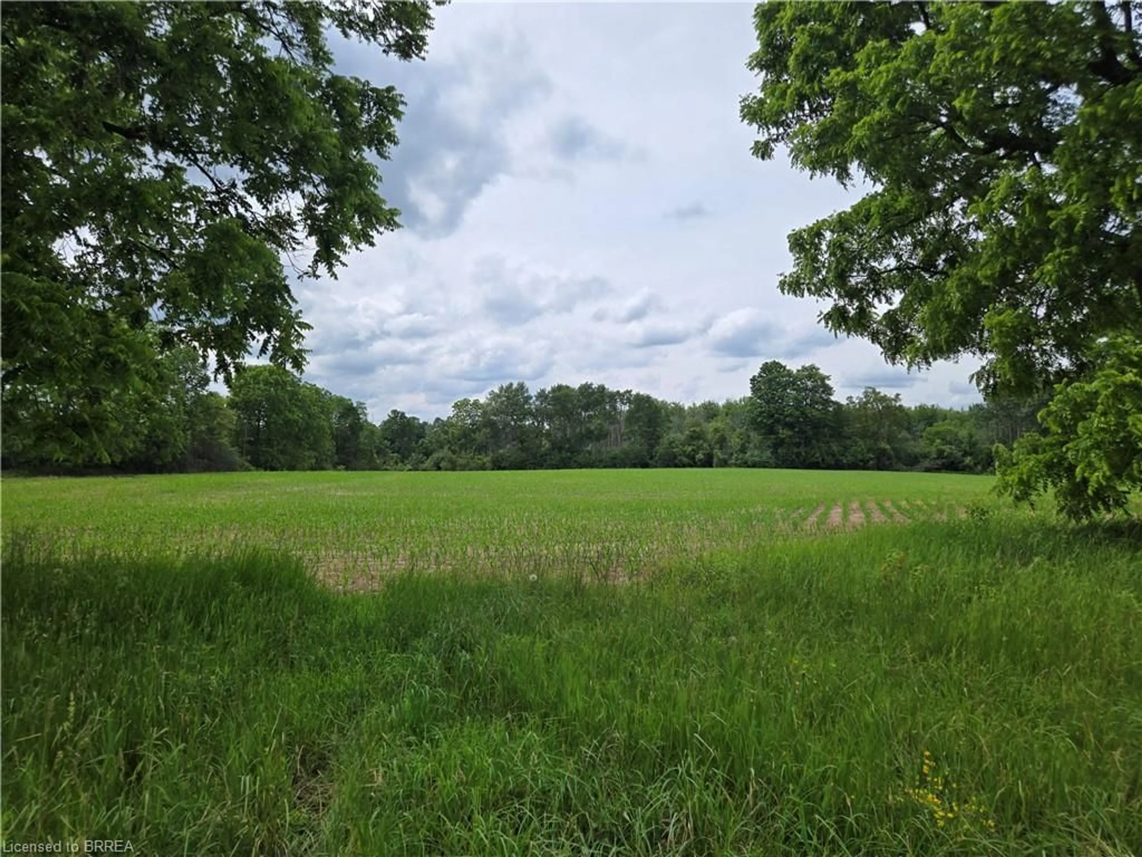 A pic from outside/outdoor area/front of a property/back of a property/a pic from drone, forest/trees view for 11080 First Line Nassagaweya, Milton Ontario L0P 1J0