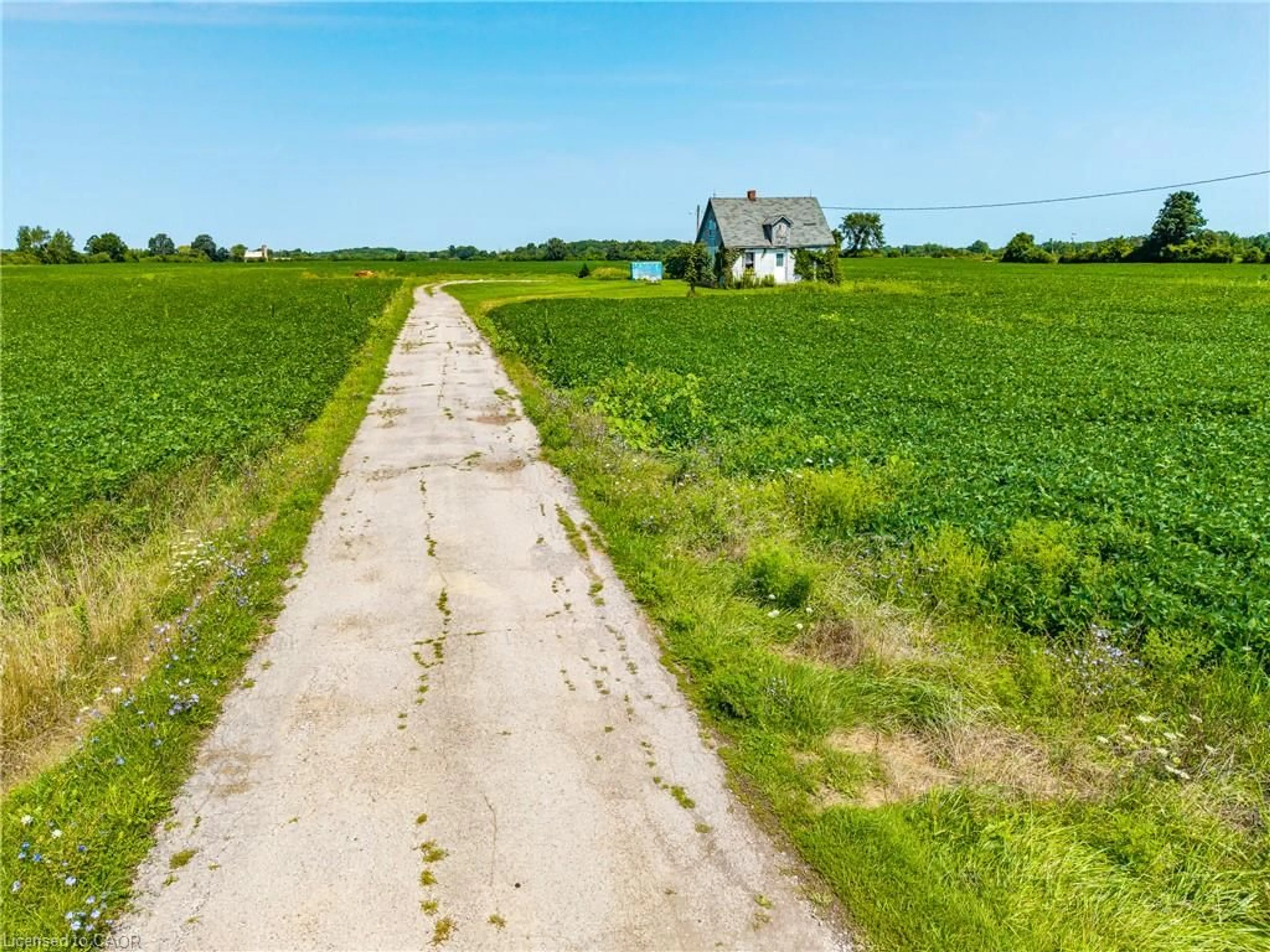 A pic from outside/outdoor area/front of a property/back of a property/a pic from drone, street for 883 Lynn Valley Rd, Port Dover Ontario N0A 1N2