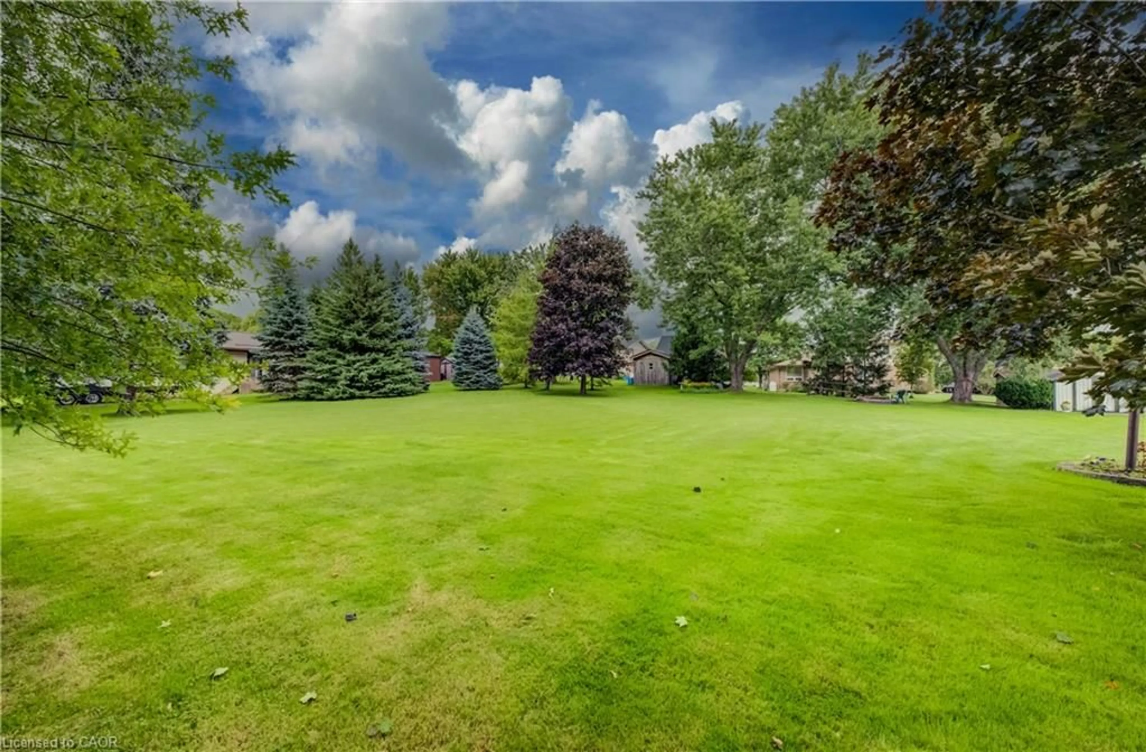 Patio, forest/trees view for 5465 King St, Wellesley Ontario N0B 2T0
