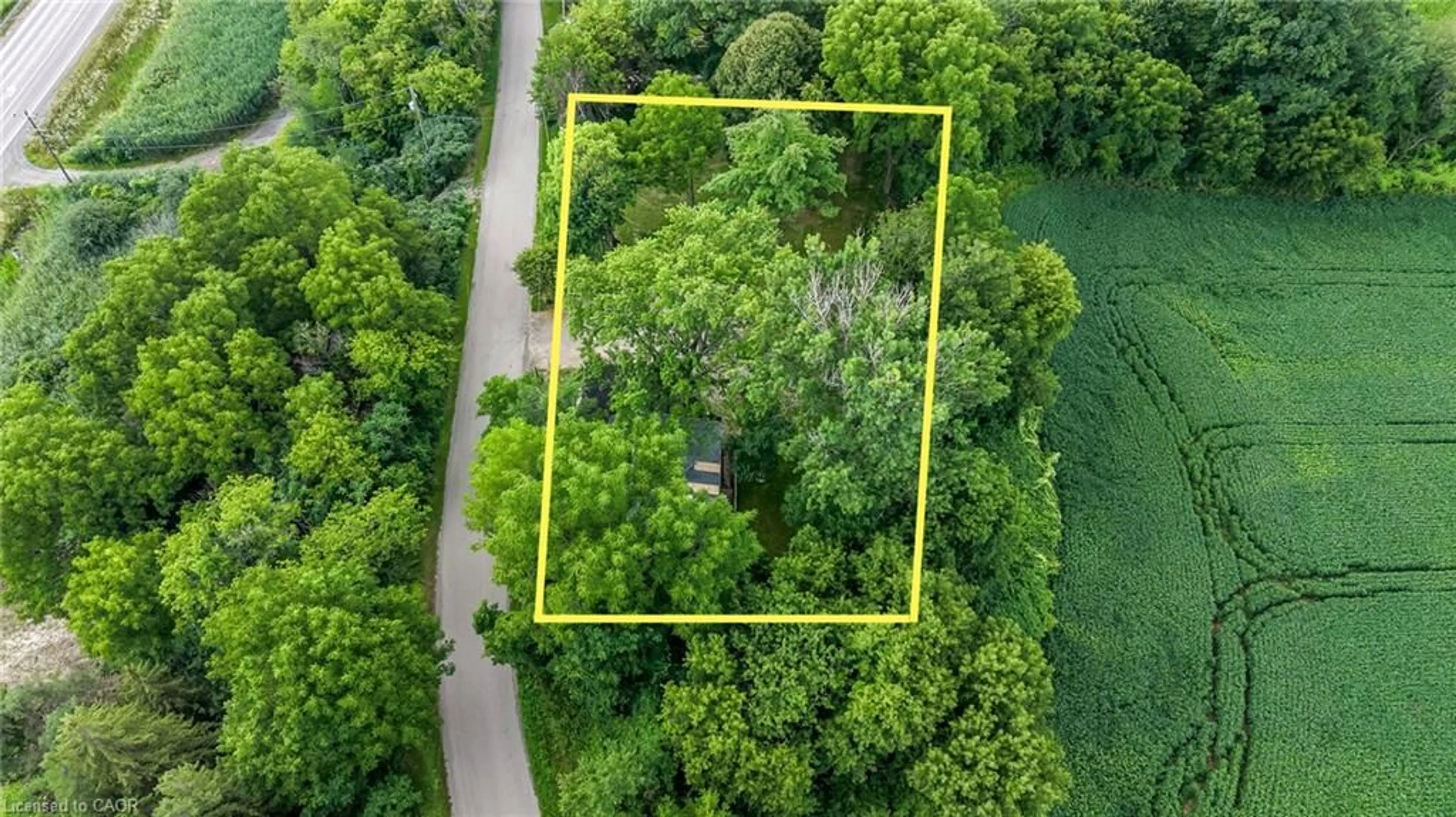 A pic from outside/outdoor area/front of a property/back of a property/a pic from drone, forest/trees view for 845 Collinson Rd, Dundas Ontario L9H 5E2
