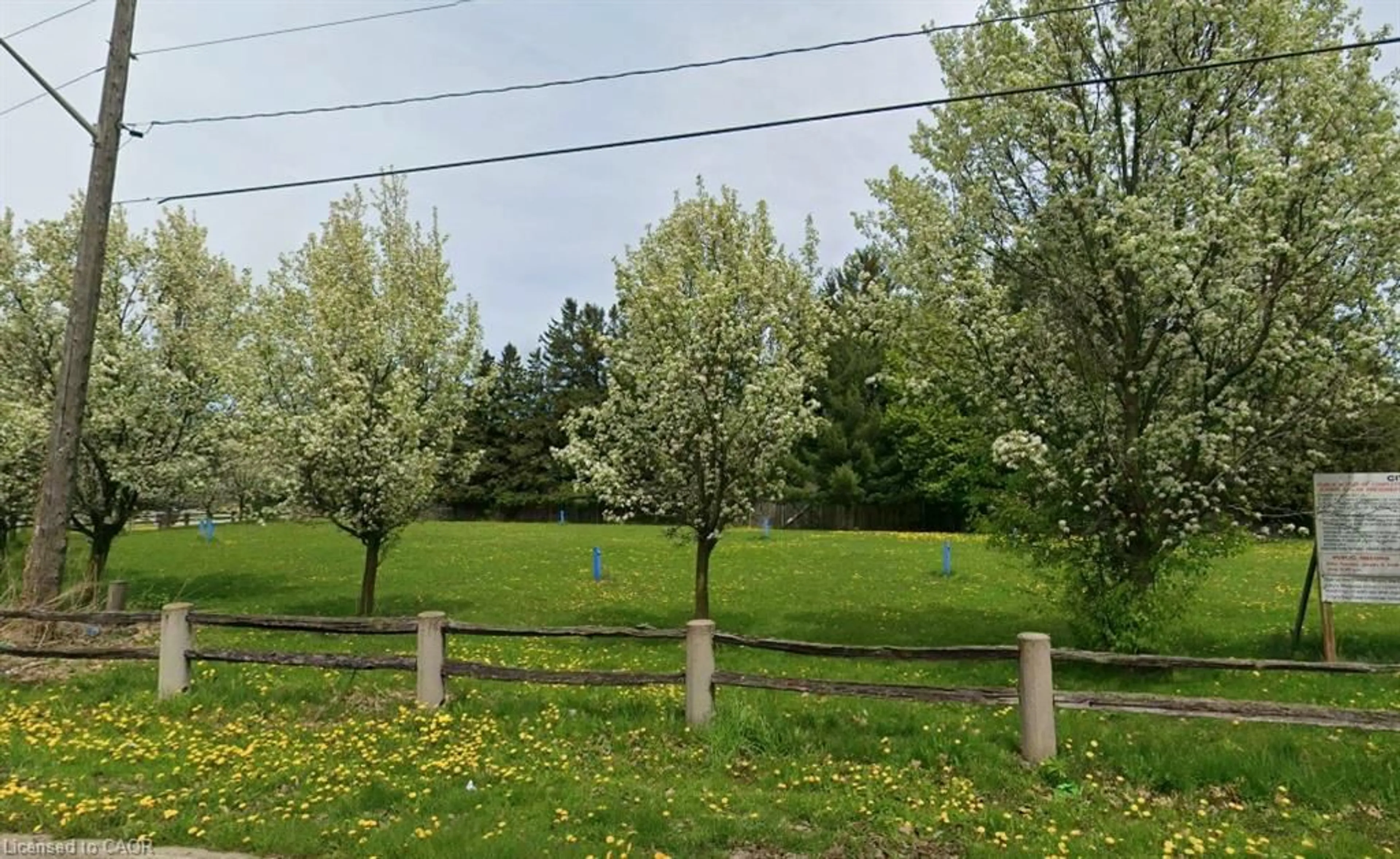 Unknown for 281 Hamilton Dr, Ancaster Ontario L9G 2A9