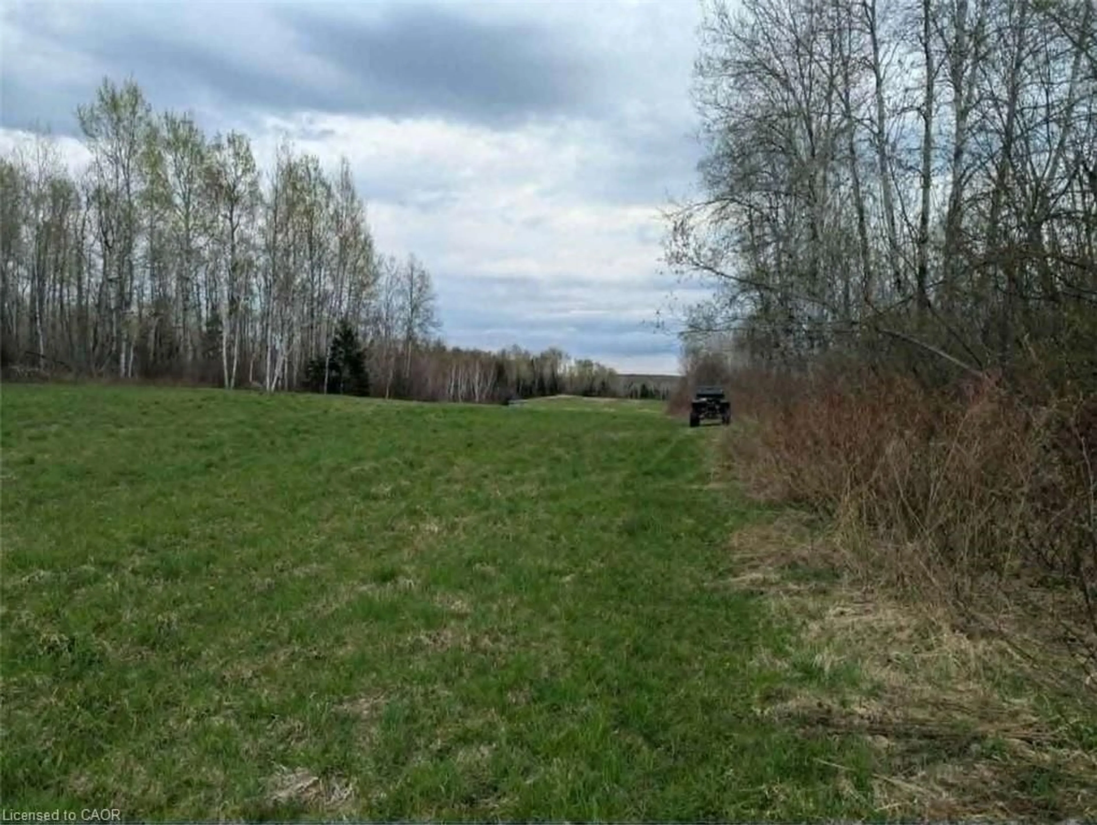 A pic from outside/outdoor area/front of a property/back of a property/a pic from drone, forest/trees view for LOT 17 Bertha Rd, Corbeil Ontario P0H 1K0