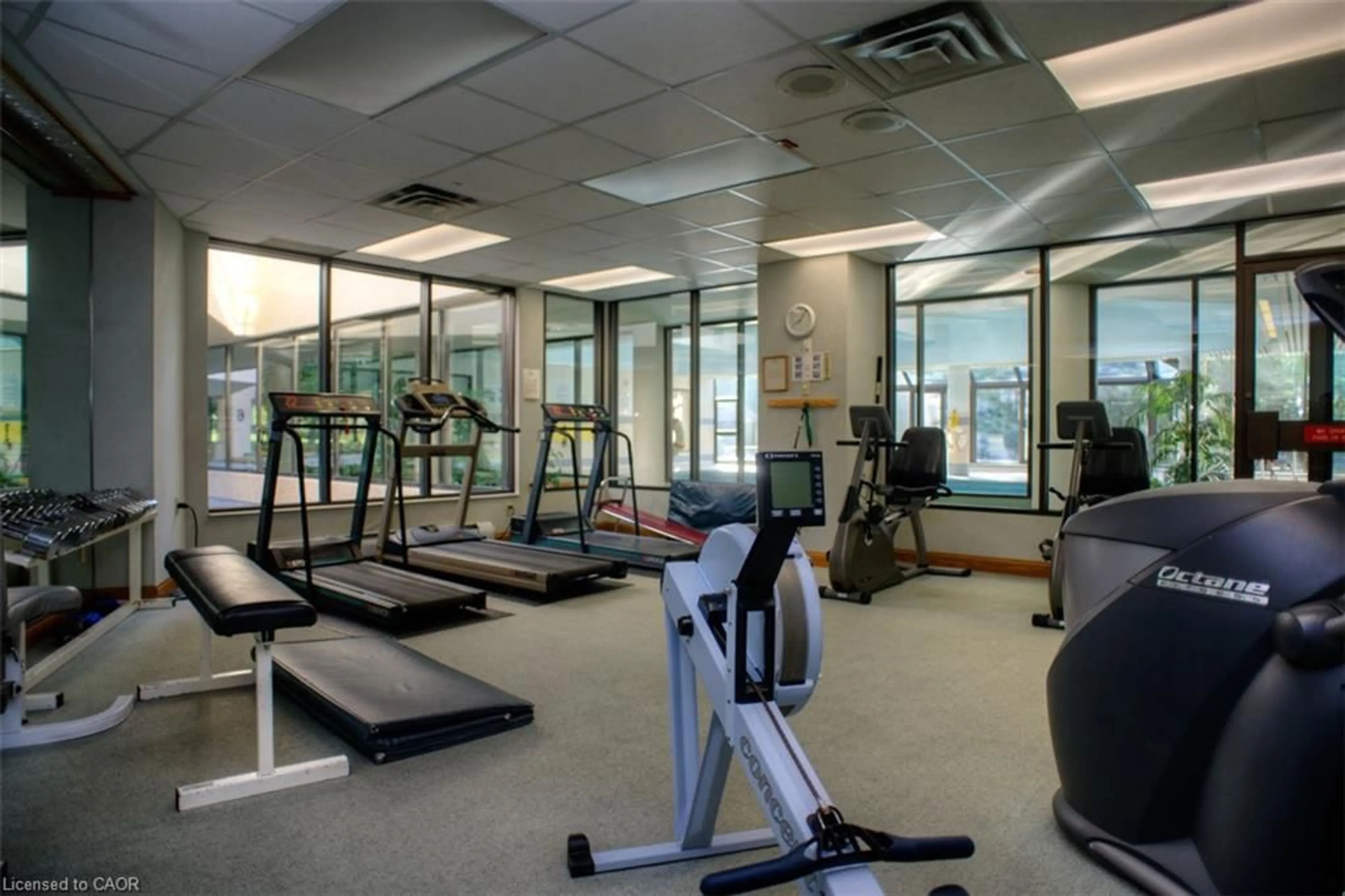 Gym or fitness room for 4 Willow St #1104, Waterloo Ontario N2J 4S2
